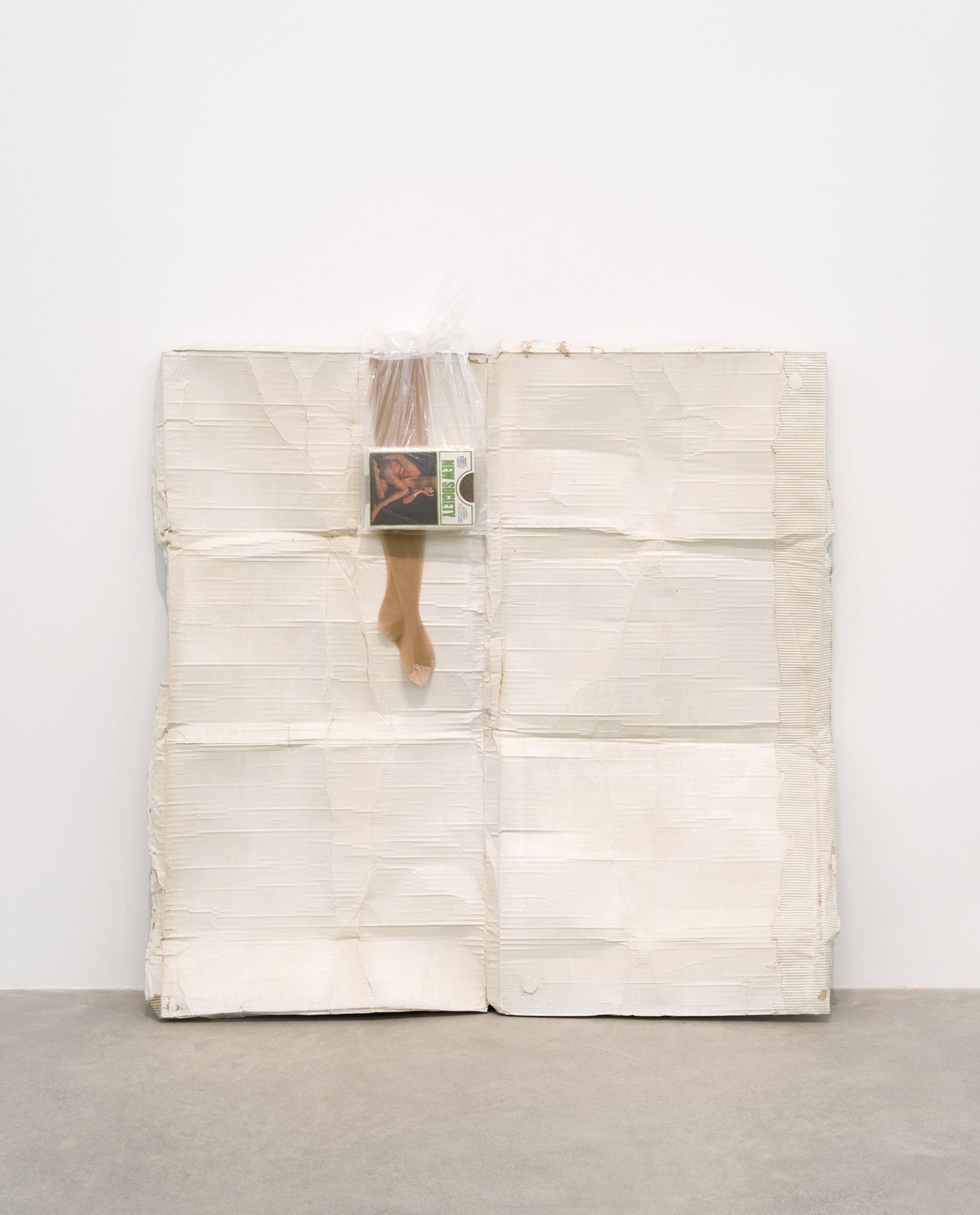 Liz Magor, New Society, 2016, polymerized gypsum, plastic bag, nylon stockings, 66 x 61 x 12 in. (168 x 155 x 30 cm) by Liz Magor