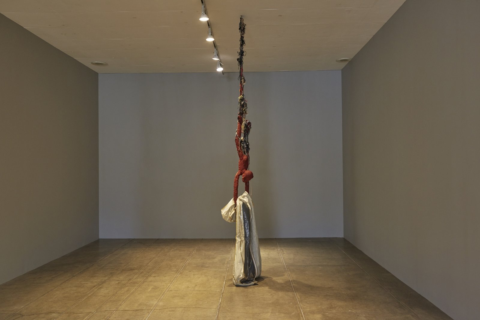 Liz Magor, Delivery (red), 2018, silicone rubber, textiles, twine, 144 x 24 x 13 in. (366 x 61 x 32 cm). Installation view, BLOWOUT, Carpenter Center for Visual Arts, Cambridge, USA, 2019