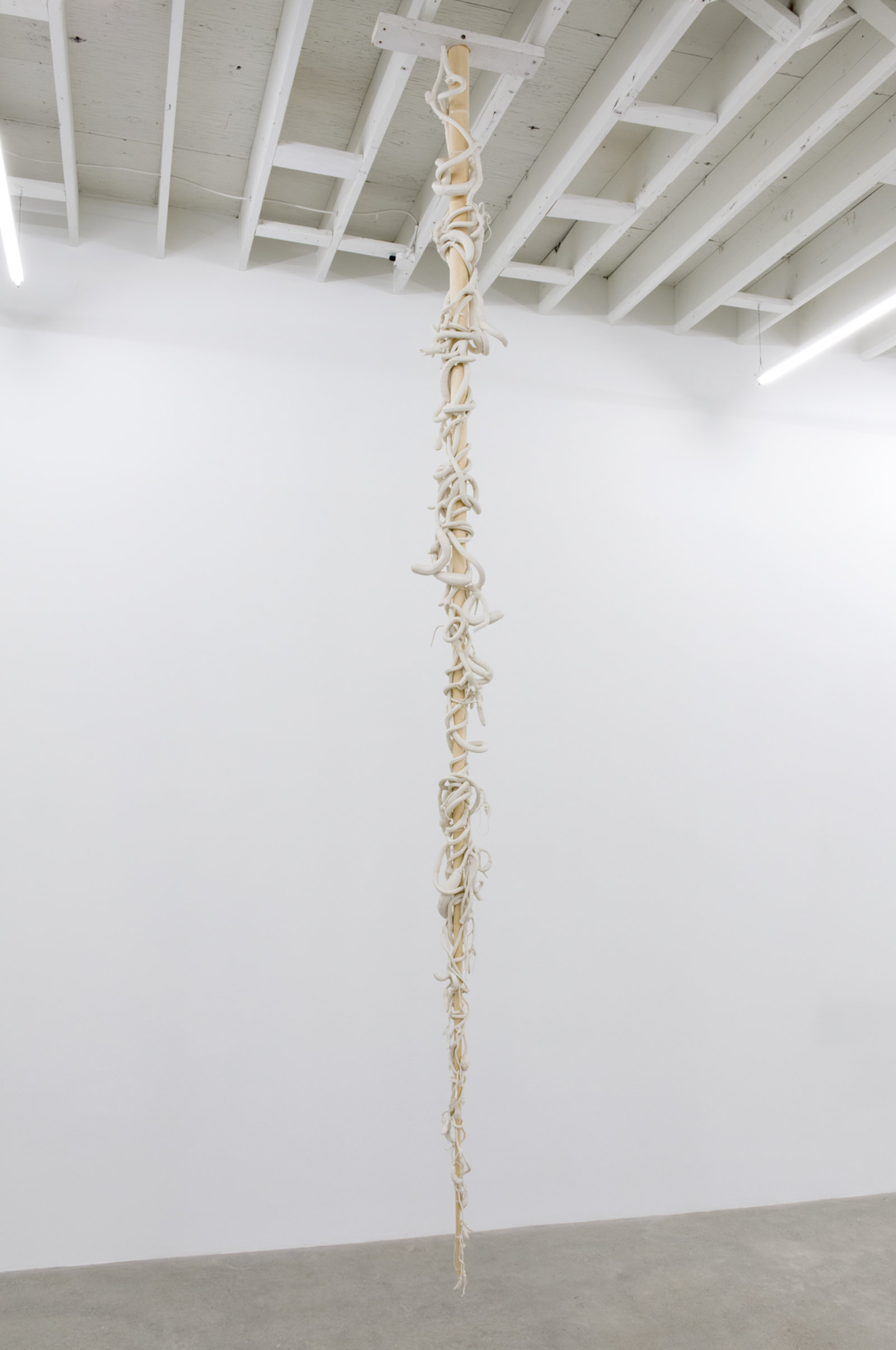 Liz Magor, Eddie’s White Wonder, 1994, silicone rubber, wood, 163 x 10 x 10 in. (414 x 25 x 25 cm)