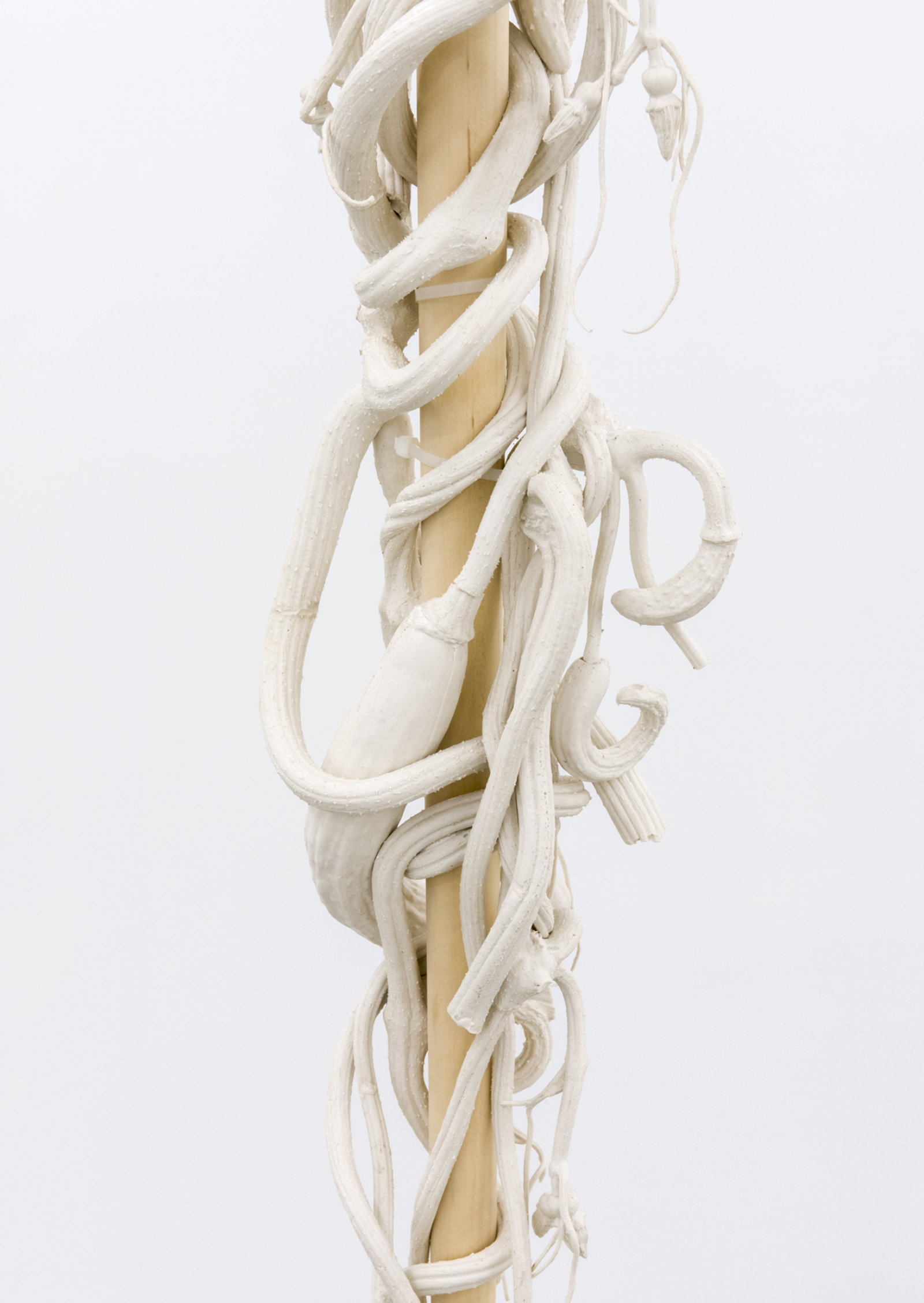 Liz Magor, Eddie’s White Wonder (detail), 1994, silicone rubber, wood, 163 x 10 x 10 in. (414 x 25 x 25 cm)