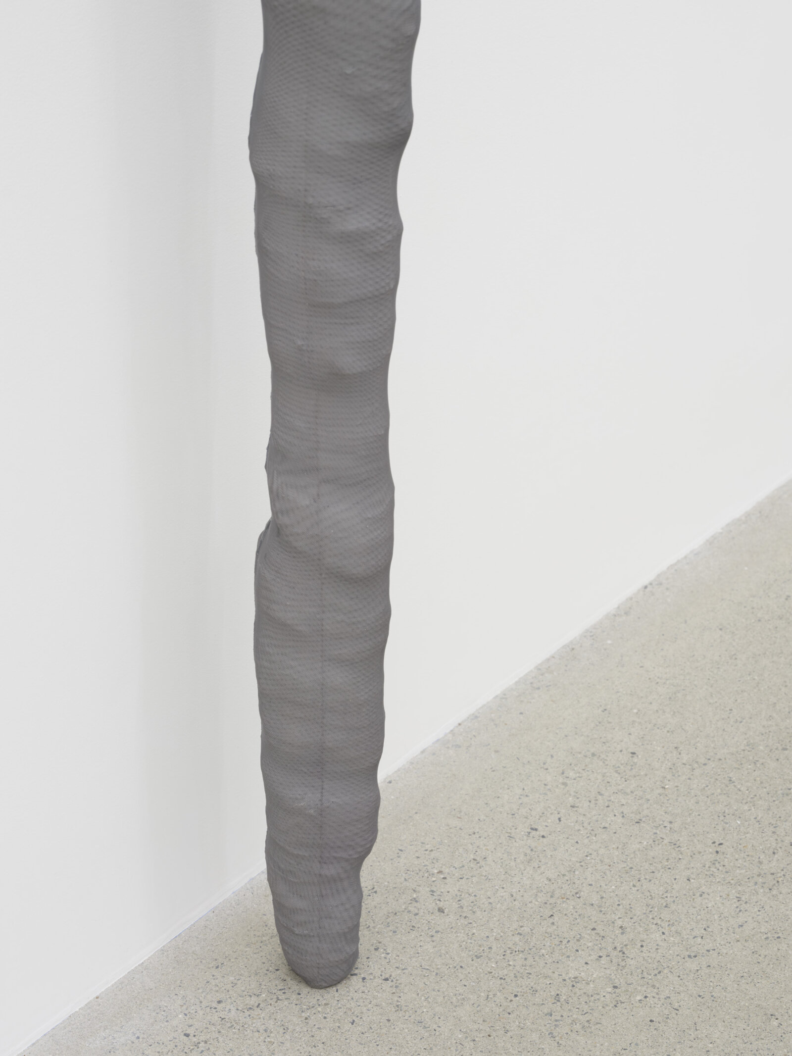 Liz Magor, Fist (blue) (detail), 2025, silicon rubber, polyester mesh, push pins, 84 x 9 x 6 in. (213 x 22 x 15 cm)
