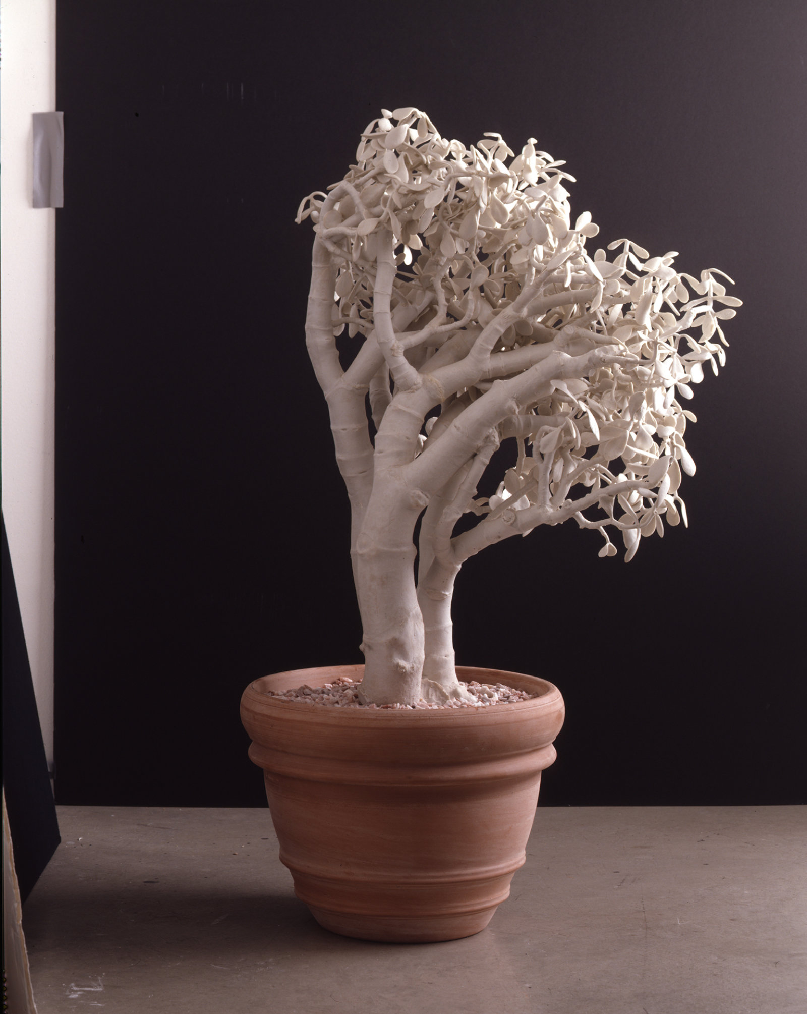Liz Magor, House Plant, 1993, clay, fluorescent light, silicone rubber, dimensions variable