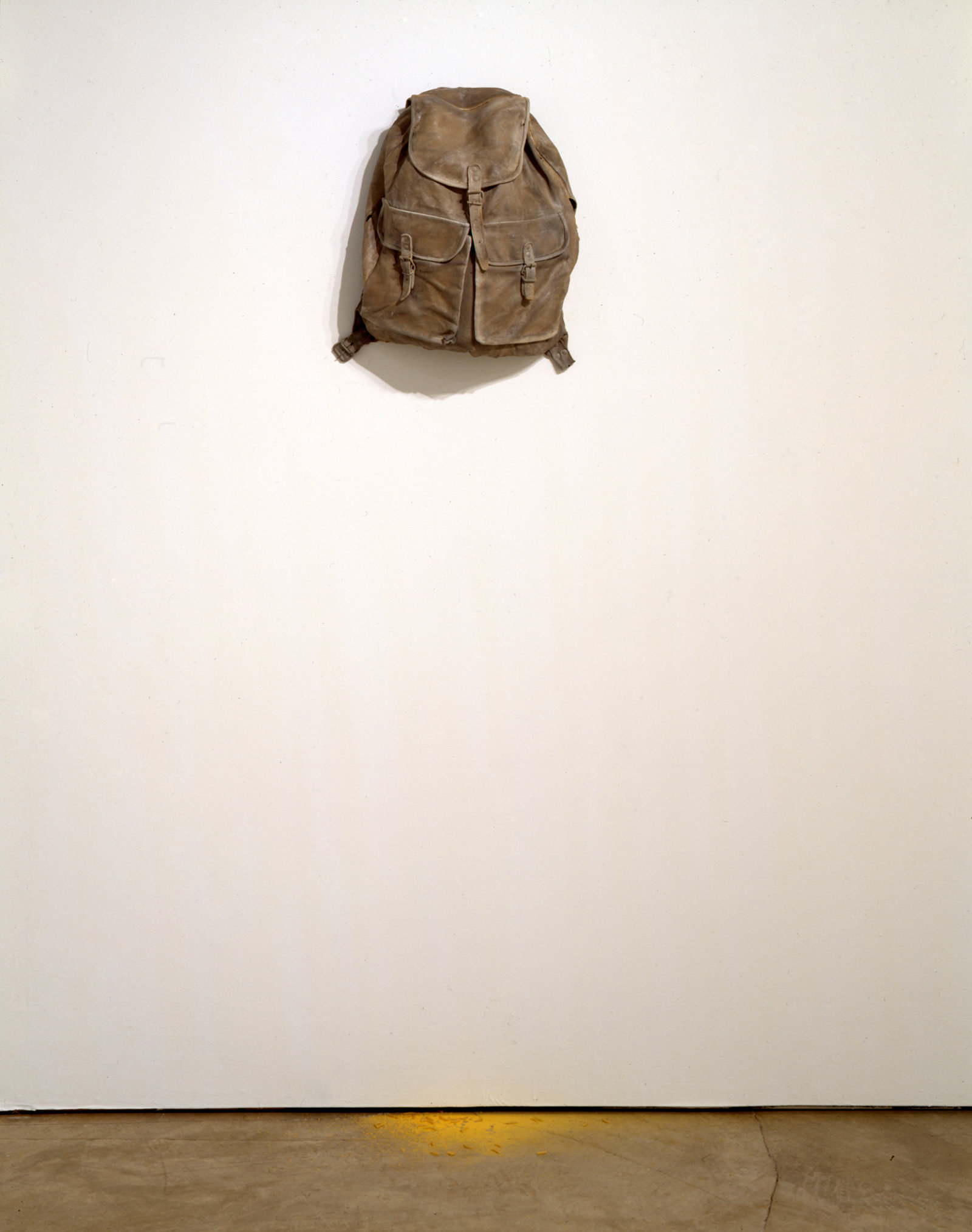 Liz Magor, KD—The Original, 2000, silicone rubber, cheese, 66 x 4 x 8 in. (168 x 36 x 20 cm)