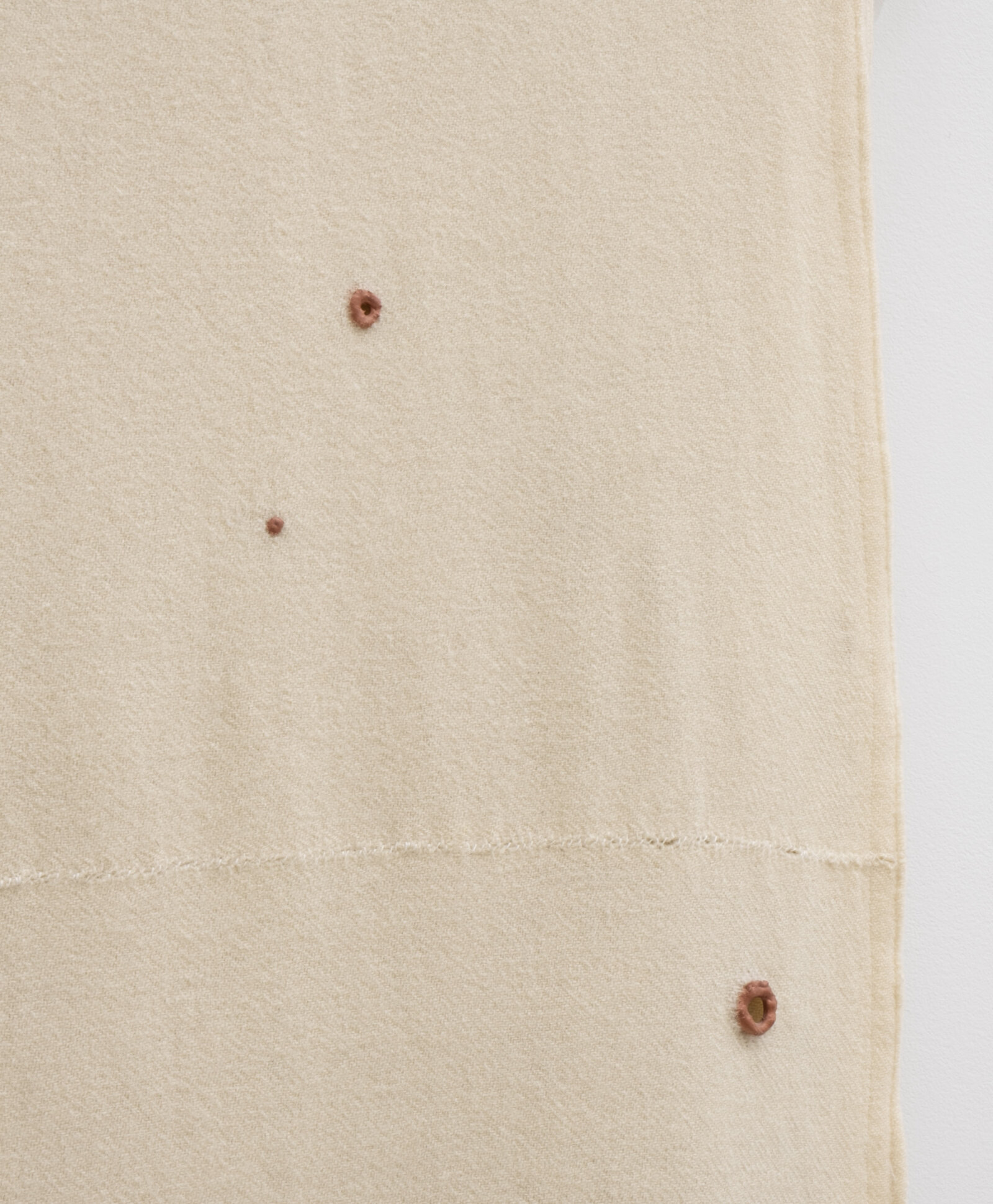 Liz Magor, Moth-proofed (detail), 2011, wool, hair, metal, plastic, polymerized gypsum, thread, 66 x 22 x 6 in. (168 x 56 x 7 cm)