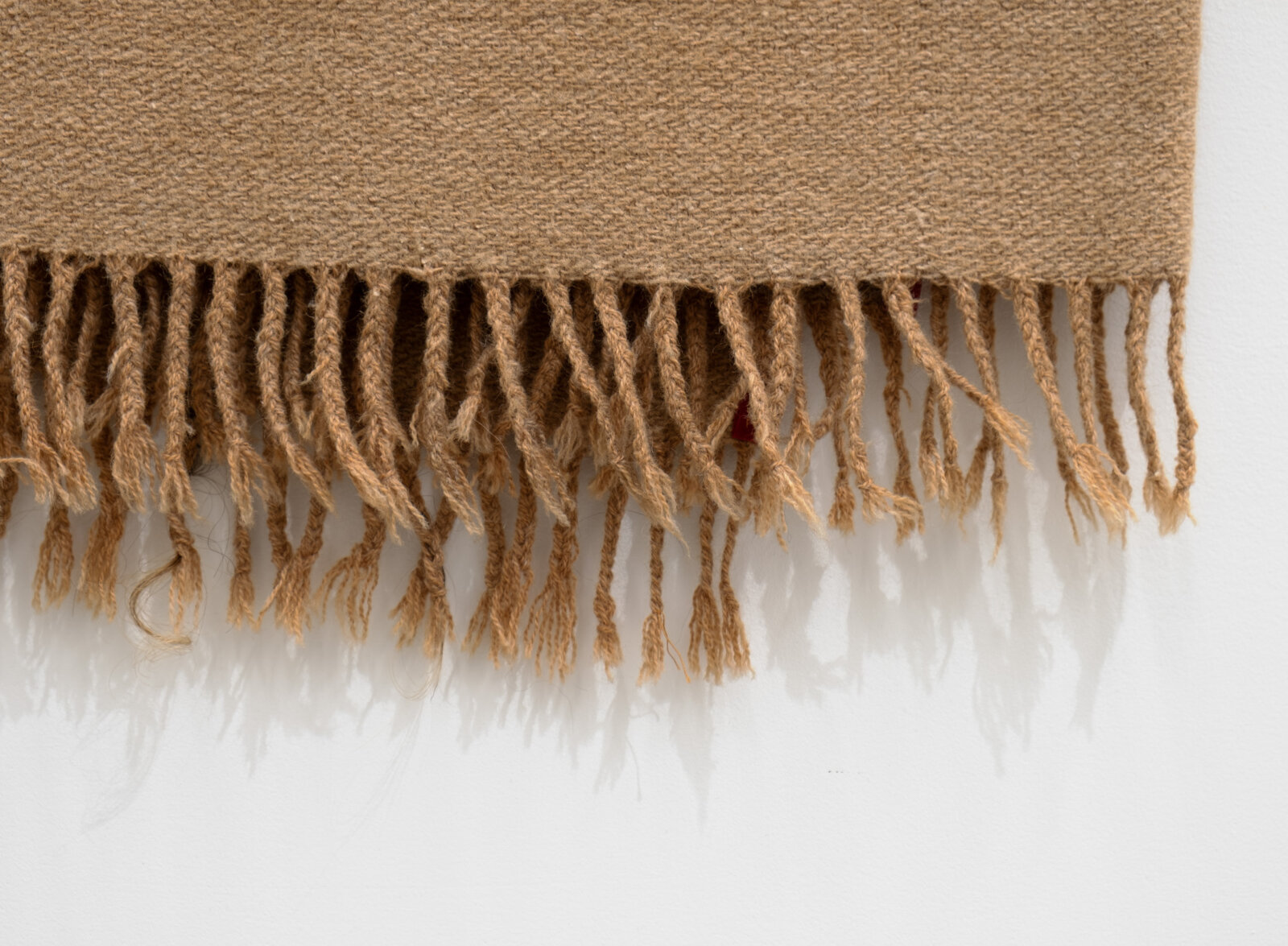 Liz Magor, Moth-proofed (detail), 2011, wool, hair, metal, plastic, polymerized gypsum, thread, 66 x 22 x 6 in. (168 x 56 x 7 cm)