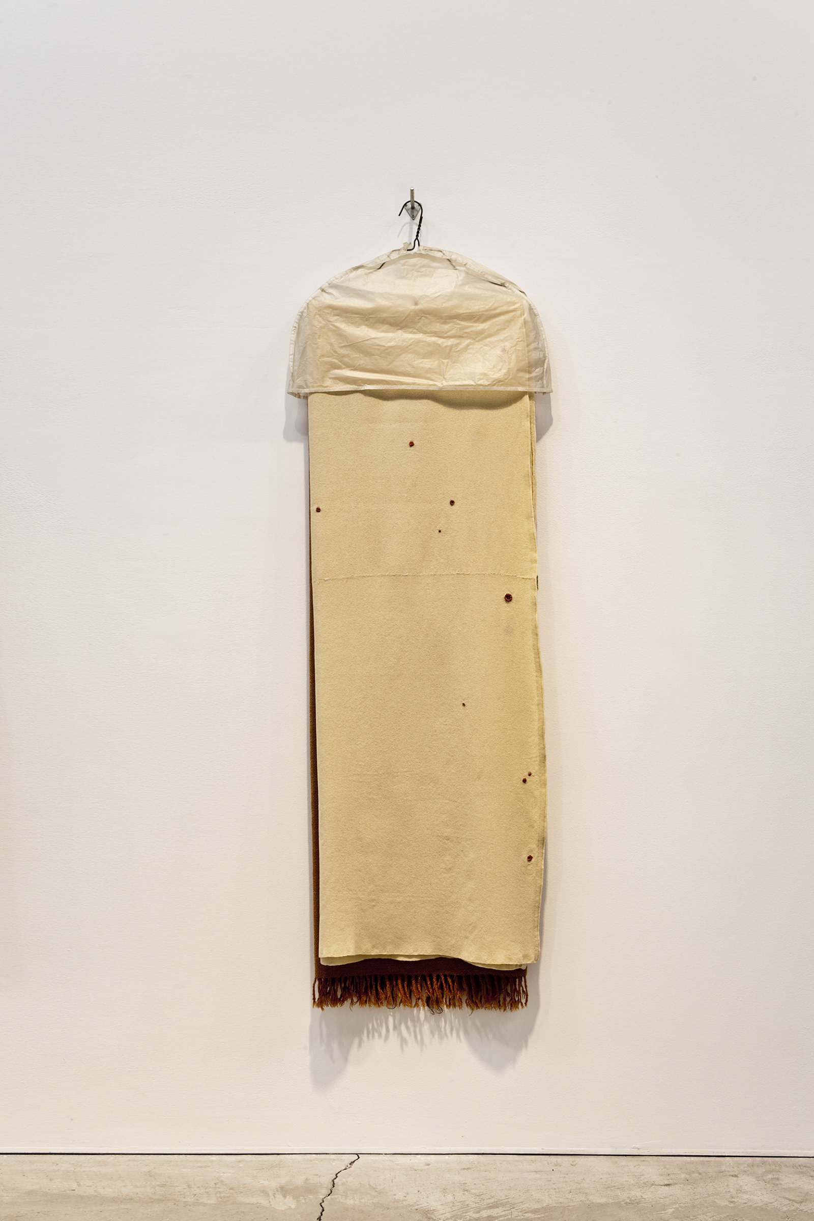 Liz Magor, Moth-proofed, 2011, wool, hair, metal, plastic, polymerized gypsum, thread, 66 x 22 x 6 in. (168 x 56 x 7 cm). Photo: Toni Hafkenscheid