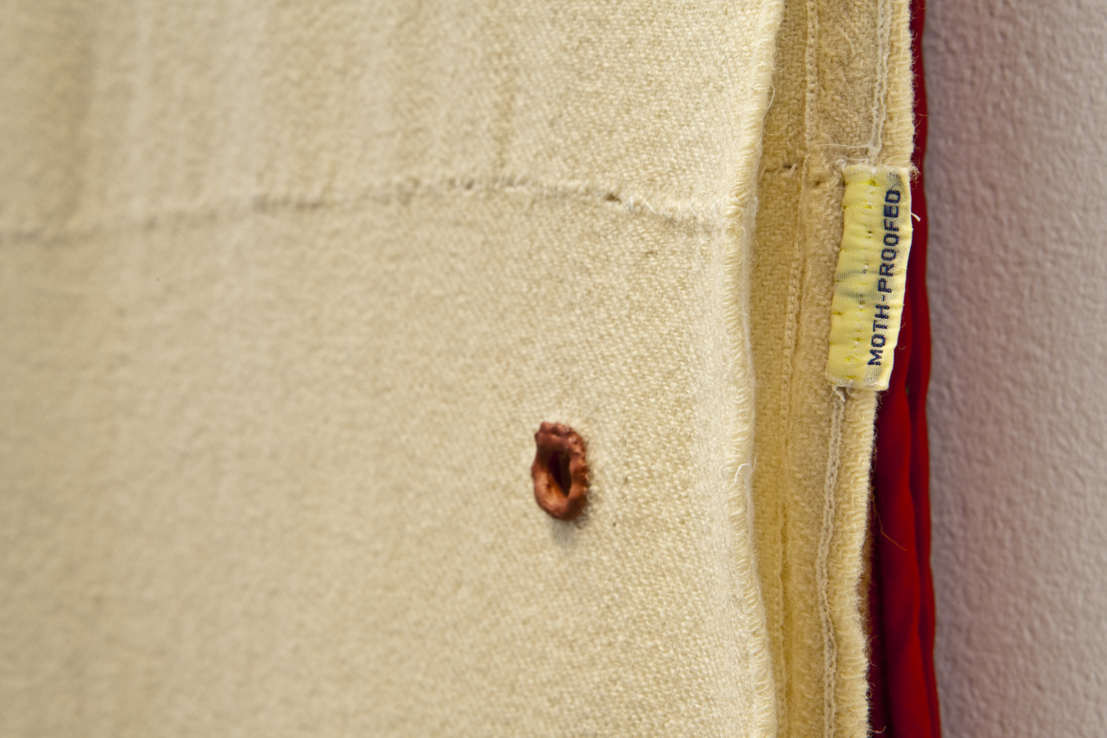 Liz Magor, Moth-proofed (detail), 2011, wool, hair, metal, plastic, polymerized gypsum, thread, 66 x 22 x 6 in. (168 x 56 x 7 cm). Photo: Toni Hafkenscheid
