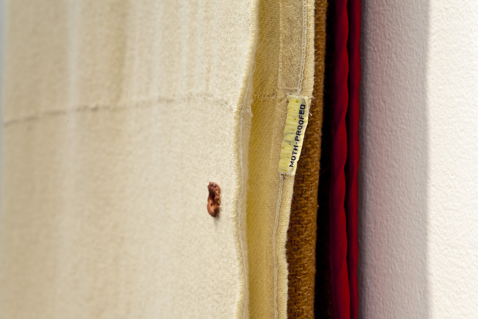 Liz Magor, Moth-proofed (detail), 2011, wool, hair, metal, plastic, polymerized gypsum, thread, 66 x 22 x 6 in. (168 x 56 x 7 cm). Photo: Toni Hafkenscheid