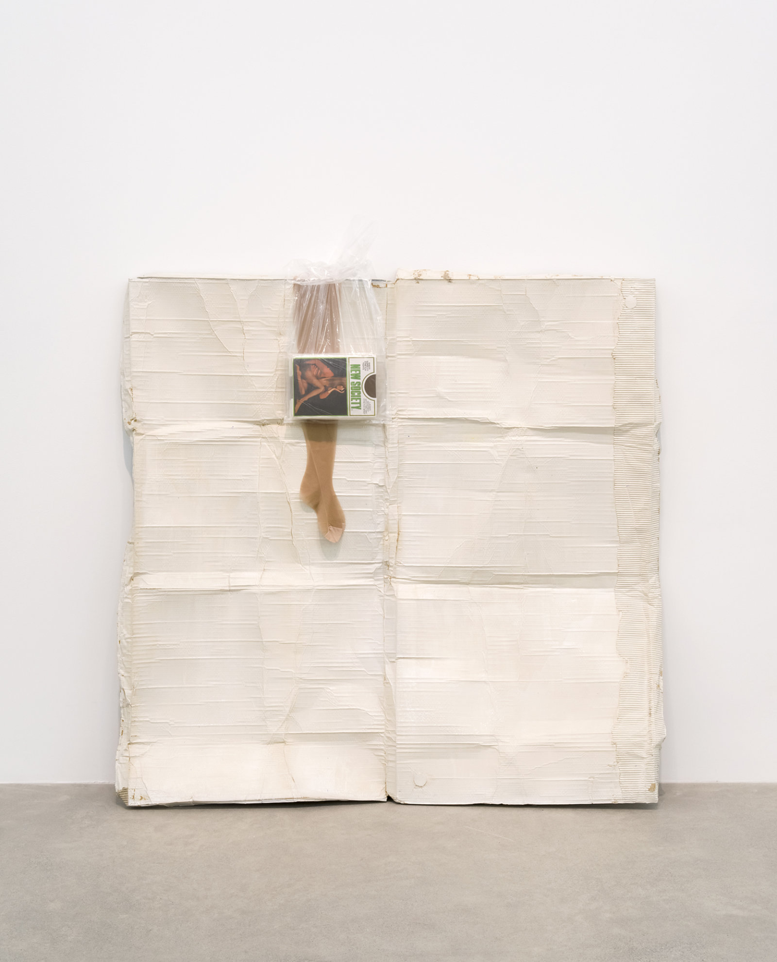 Liz Magor, New Society, 2016, polymerized gypsum, plastic bag, nylon stockings, 66 x 61 x 12 in. (168 x 155 x 30 cm)