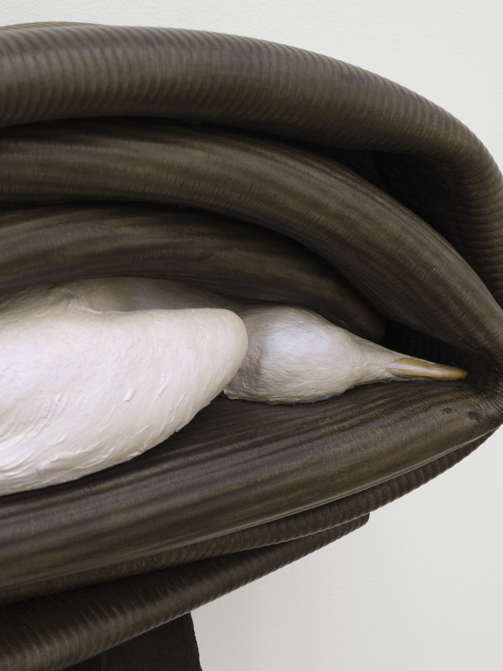 Liz Magor, Series (detail), 2024, polymerized gypsum, 42 x 28 x 12 in. (107 x 71 x 31 cm)