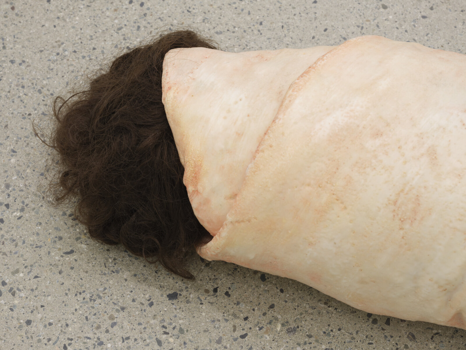 Liz Magor, Sleeper #6 (detail), 1999, tin cure silicon rubber, synthetic hair, 6 x 26 x 6 in. (14 x 66 x 15 cm)