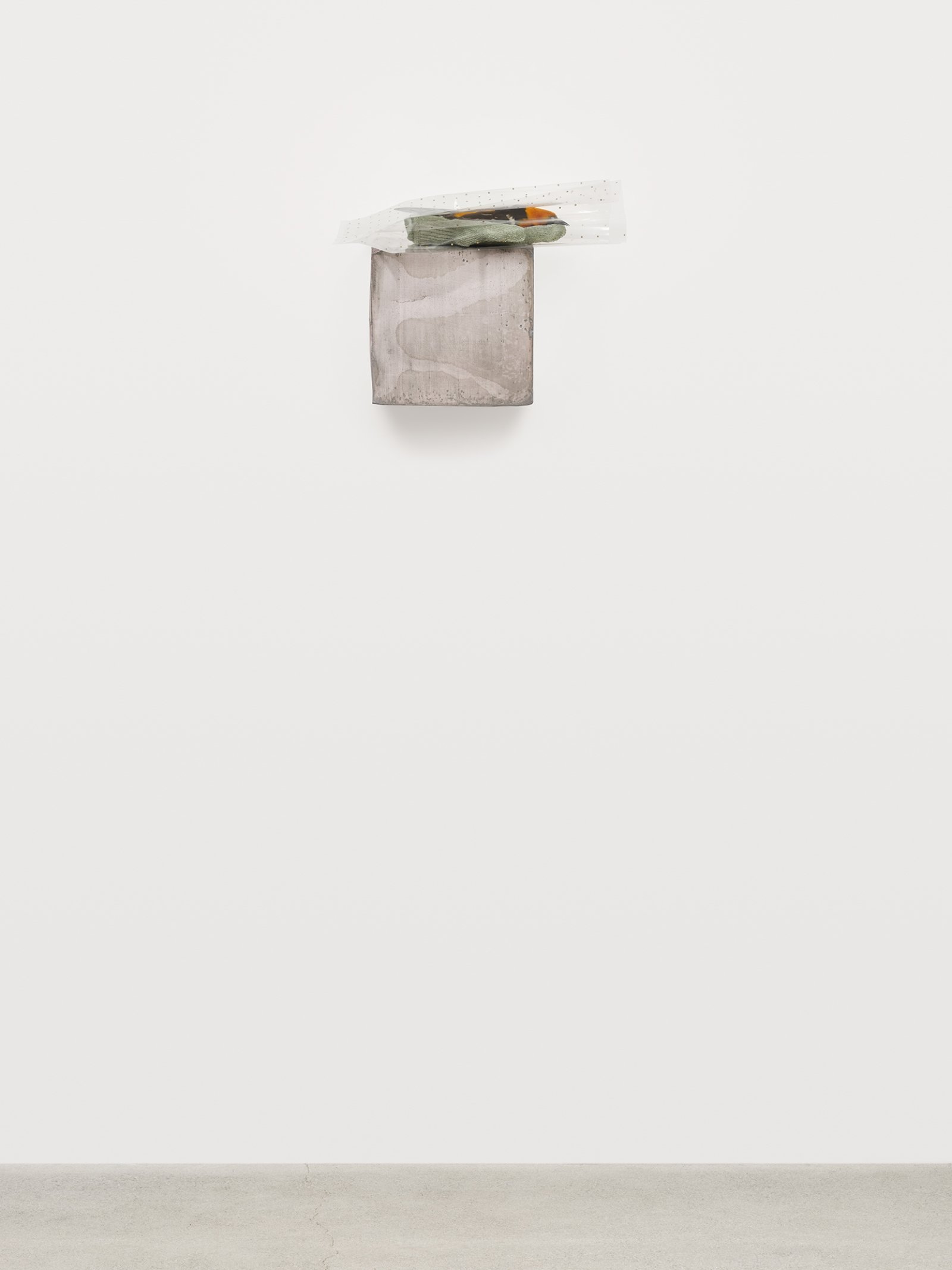 Liz Magor, Small Hand, 2019, polymerized gypsum, naturalized bird, cellophane, 10 x 12 x 6 in. (25 x 31 x 17 cm)