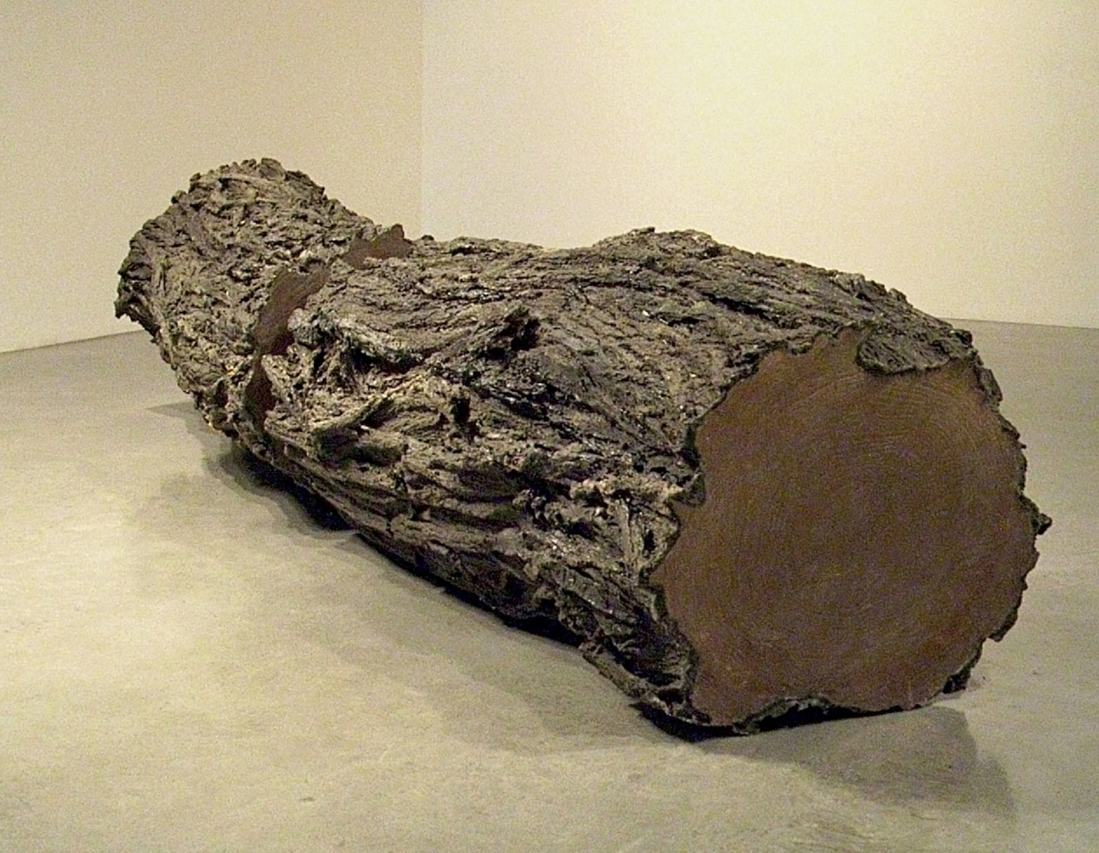 Liz Magor, Split, 2004, microcrystalline wax, 36 x 170 x 34 in. (66 x 432 x 86 cm)