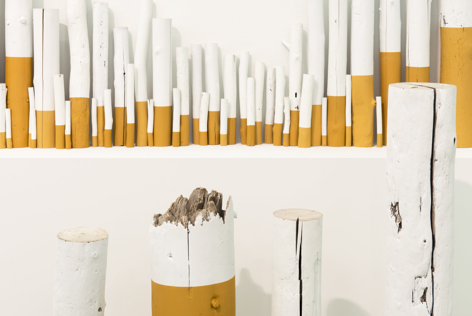 Liz Magor, The Rules (detail), 2012, wood, paint, 38 x 180 x 10 in. (97 x 457 x 25 cm)