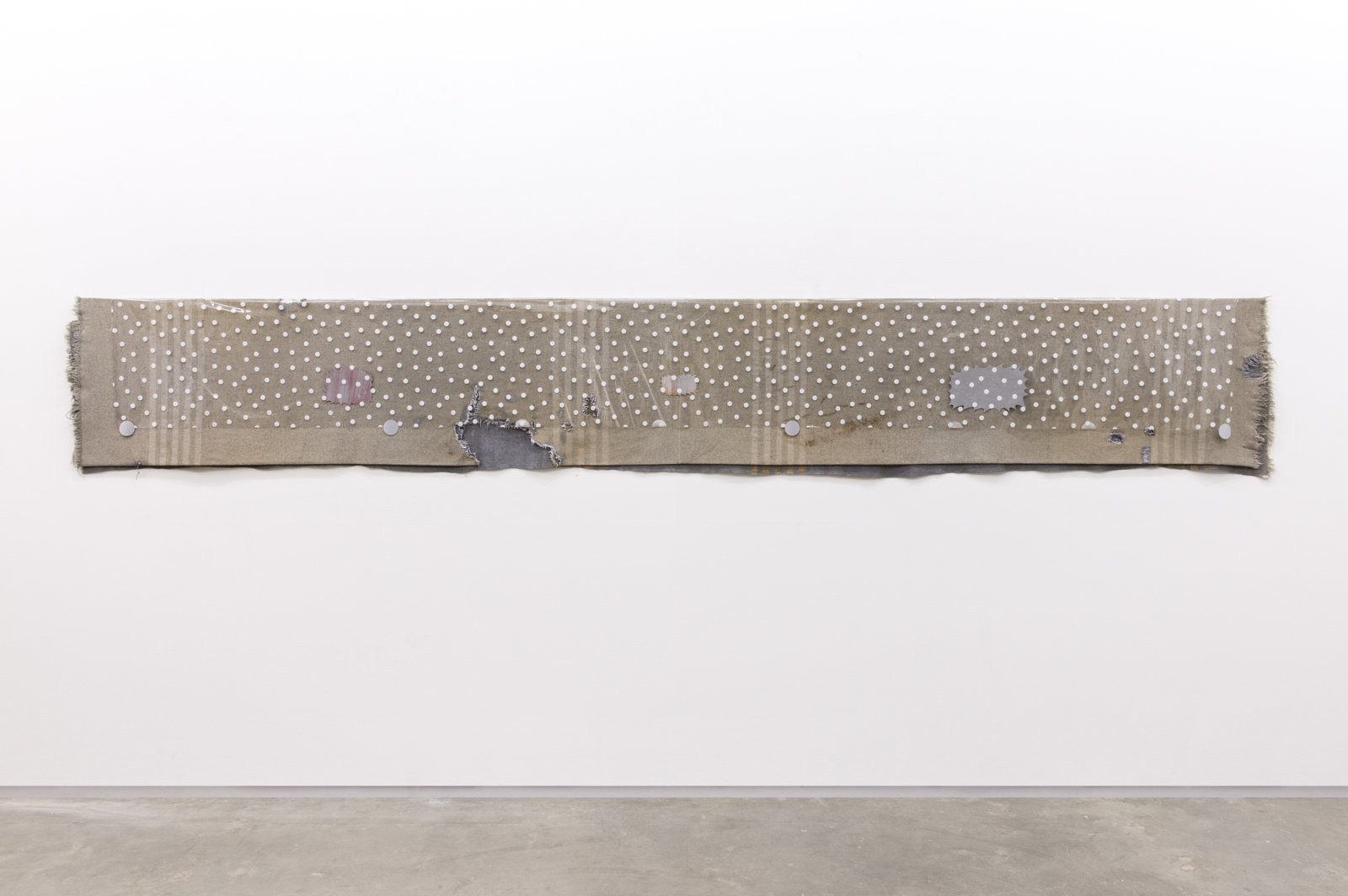 Liz Magor, Violator, 2015, wool, fabric, plastic, paper, polymerized gypsum, 24 x 160 in. (61 x 406 cm)