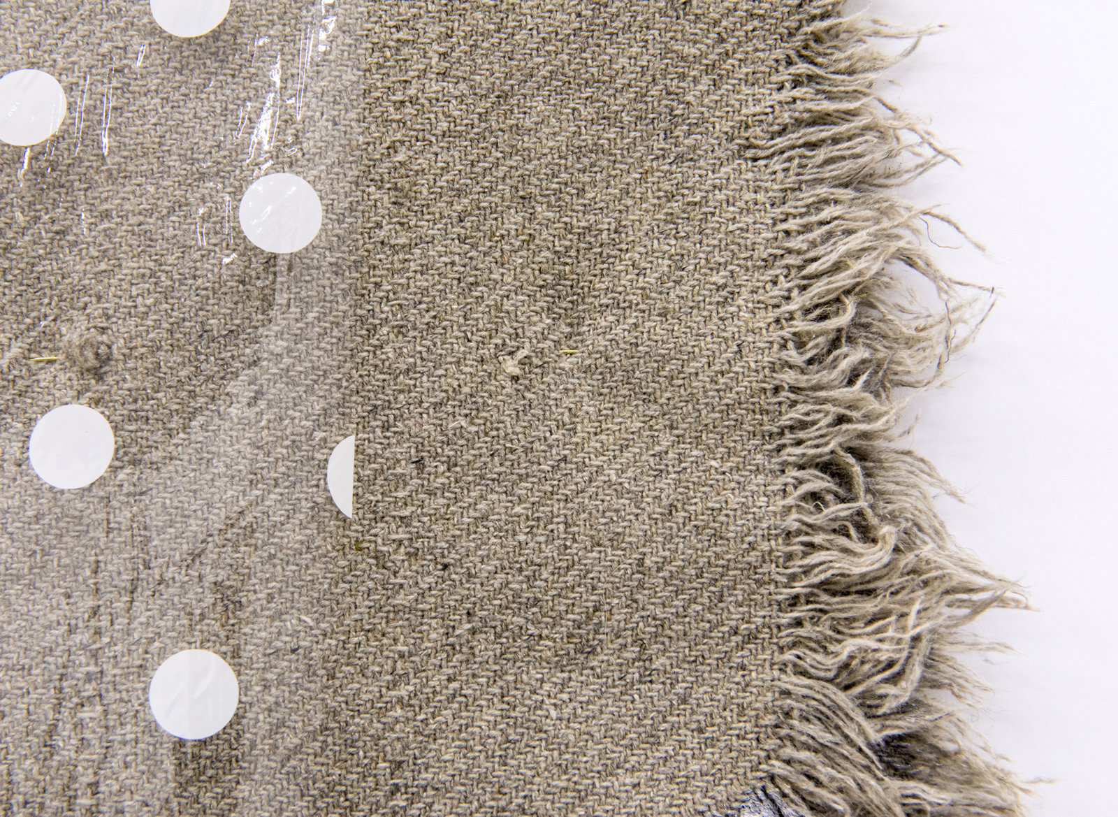 Liz Magor, Violator (detail), 2015, wool, fabric, plastic, paper, polymerized gypsum, 24 x 160 in. (61 x 406 cm)