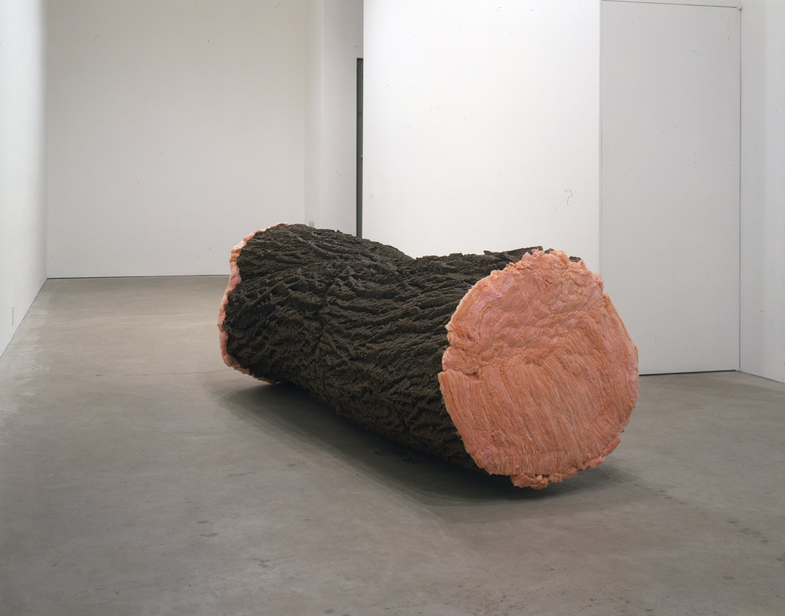 Liz Magor, Wrap, 2003, polymerized gypsum, insulation, 35 x 33 x 100 in. (88 x 84 x 254 cm). Photo: Isaac Applebaum