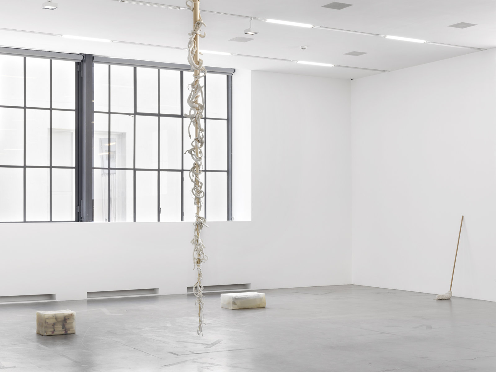 Liz Magor, Eddie’s White Wonder, 1994, silicone rubber, wood, 163 x 10 x 10 in. (414 x 25 x 25 cm). Installation view, you you you, Migros Museum für Gegenwartskunst, Zurich, 2017
