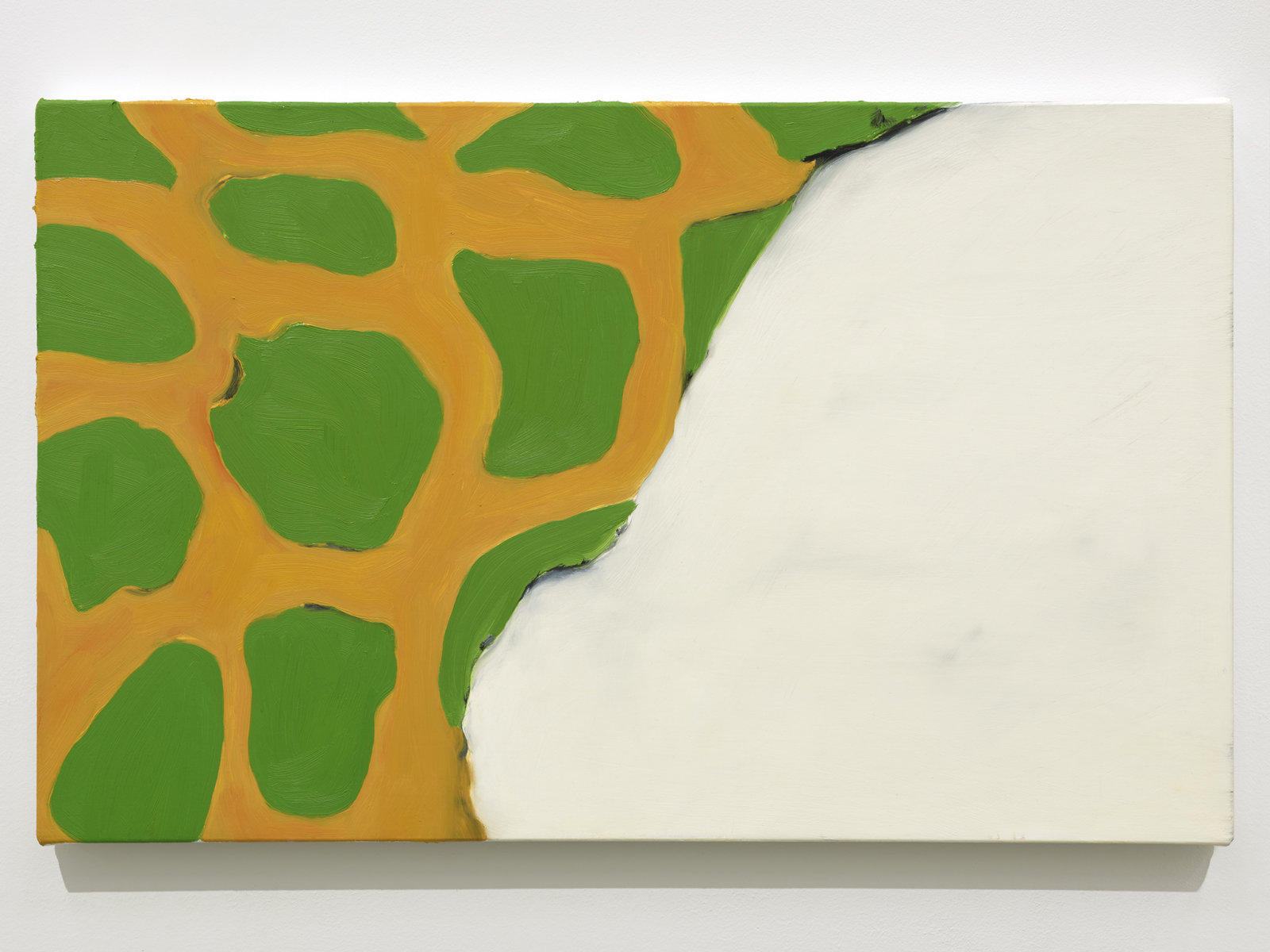 Elizabeth McIntosh, Room, 2019, oil on canvas, 16 x 25 in. (39 x 64 cm)