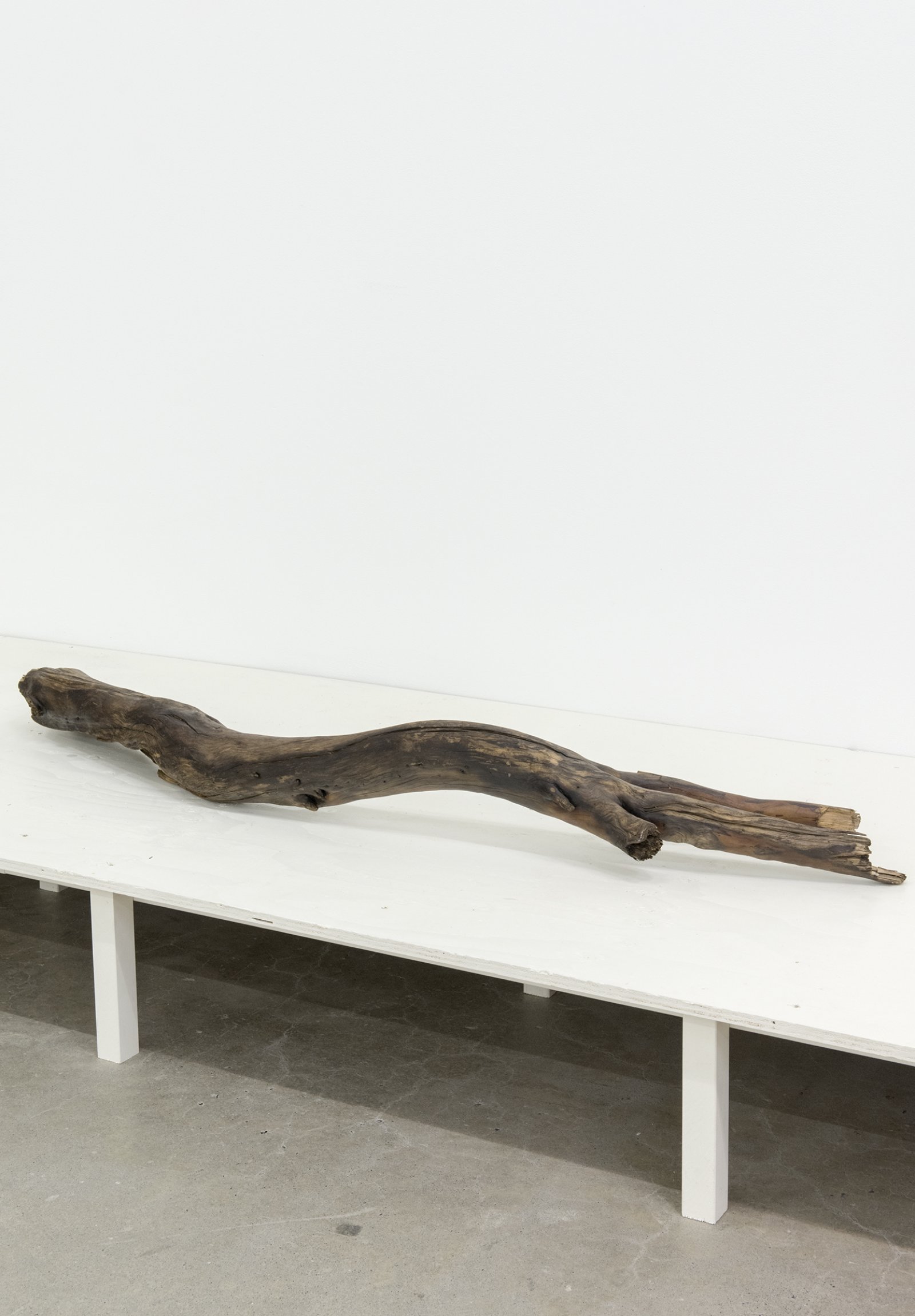 Gareth Moore, W-07F, 2013, arbutus branch found in back alley, walnut oil, geranium oil, clary sage oil, ginger oil, 7 x 59 x 13 in. (17 x 150 x 33 cm)   by Ashes Withyman