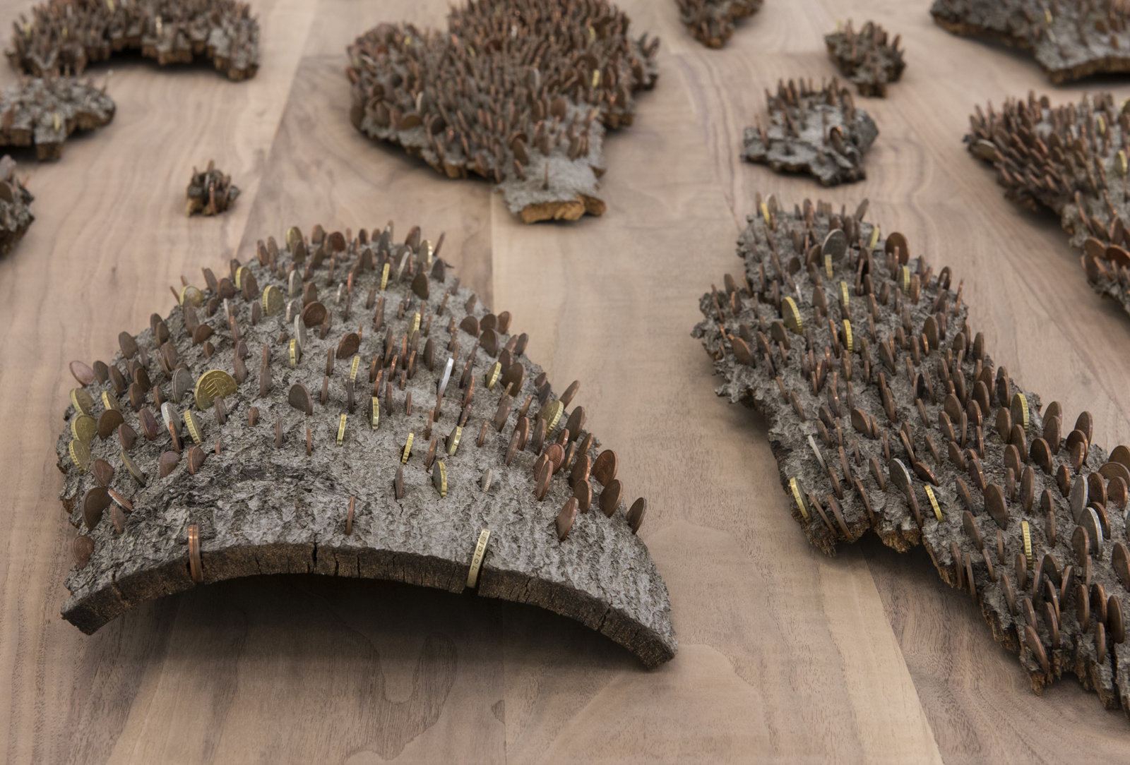 Ashes Withyman, Entrance Fee from a place, near the buried canal (detail), 2012–2016, 43 pieces of bark with various currency, wood table, 27 x 45 x 136 in. (69 x 114 x 346 cm)