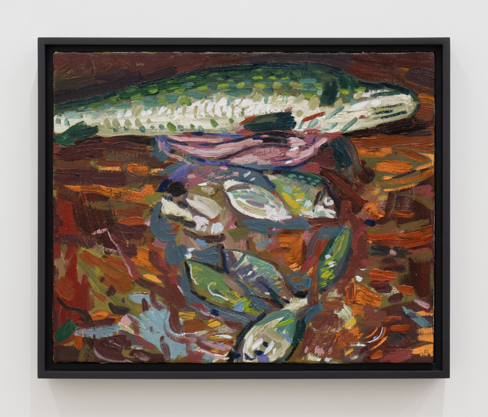 Damian Moppett, Fish #4, 2025, oil on linen, 19 x 23 in. (48 x 58 cm)