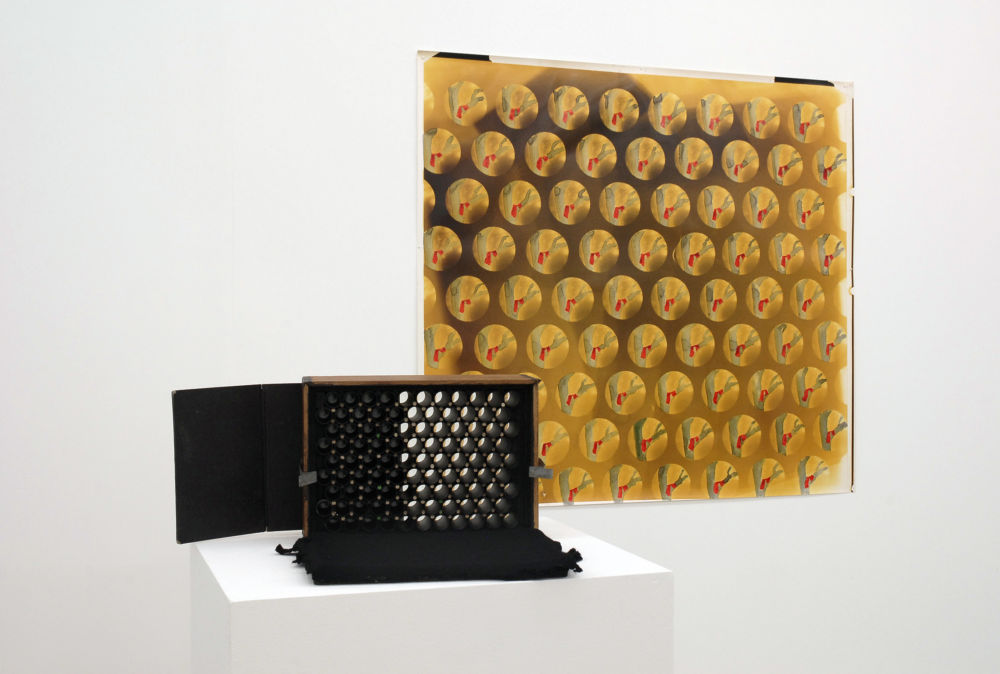 Jerry Pethick, Array Camera, 1988, Harvest Moon, 1988–1993, mixed media, dimensions variable by 