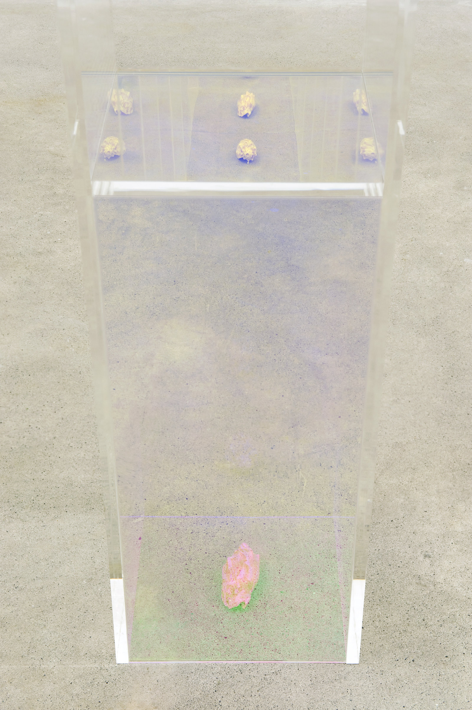 Judy Radul, Women and Film (detail), 2011, dichroic and clear acrylic, copy of Wide Angle magazine (vol. 6, no. 3, special issue on Feminism and Film, 1984), seashell, 60 x 8 x 9 in. (152 x 20 x 23 cm)