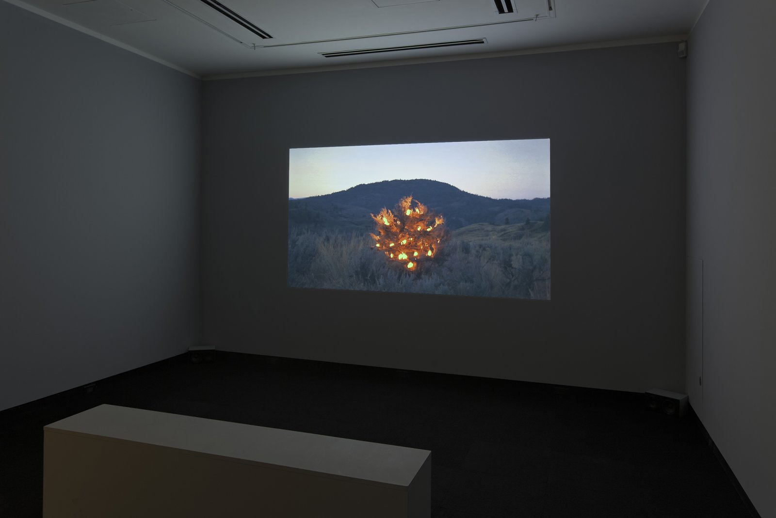 Kevin Schmidt, Burning Bush, 2005, HD video loop, 5 hours, 3 minutes. Installation view, Don't Stop Believing, Justina M. Barnicke Gallery, Toronto, 2011