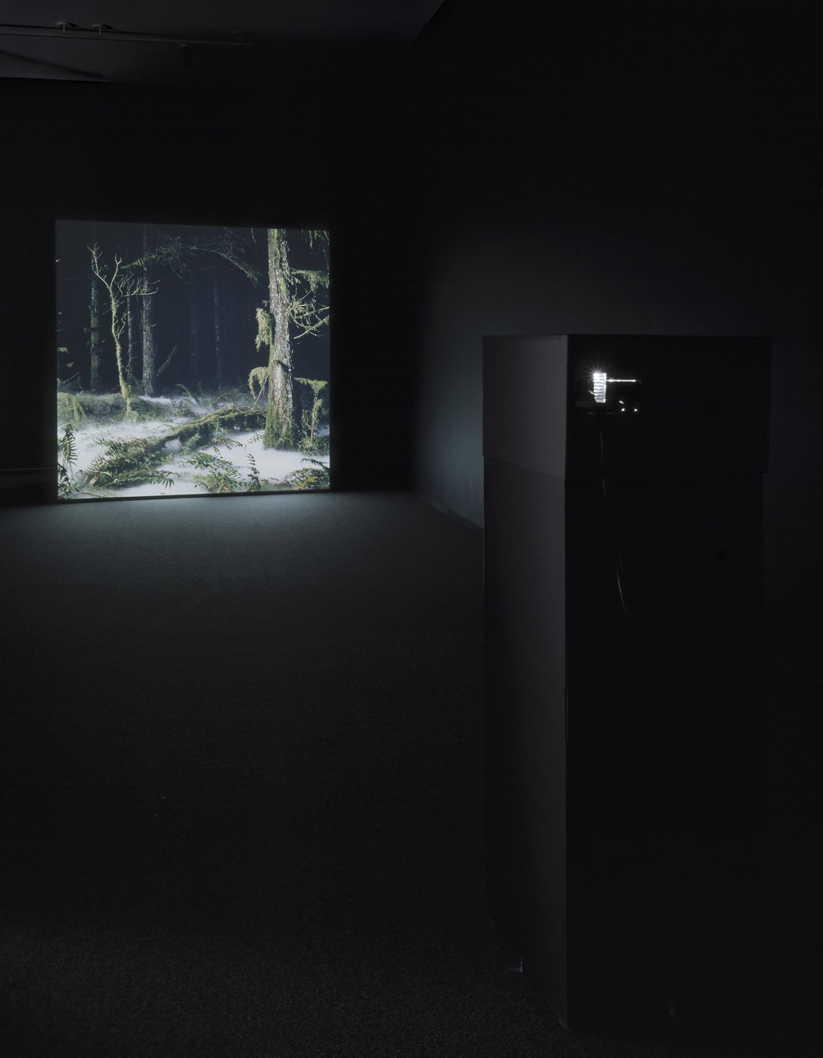 Kevin Schmidt, Fog, 2004, 2 medium-format slide projectors, 96 x 96 in. (244 x 244 cm)