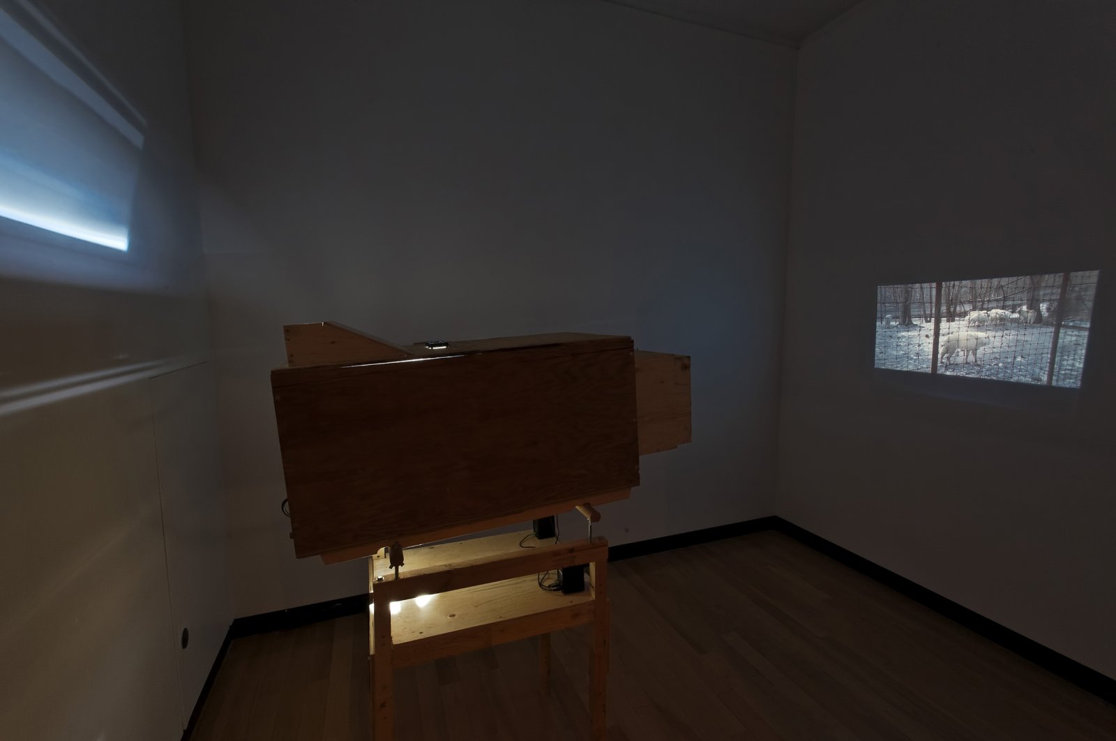 Kevin Schmidt, Sad Wolf, 2006, custom-made HD video projector, 48 x 24 x 48 in. (122 x 61 x 122 cm), HD video, 4 minutes, 11 seconds. Installation view, Don't Stop Believing,	Justina M. Barnicke Gallery, Toronto, 2011