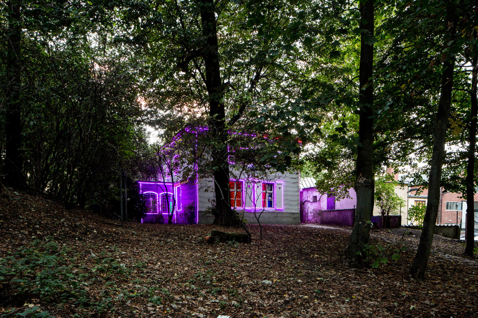 Kevin Schmidt, ...No One's Home, 2016, 40 minute soundtrack, animation sequence, electronic controls, led christmas lights, rgb light strips, radio broadcaster, radio receivers, wire. Installation view, Lichtparcours Braunschweig, 2016