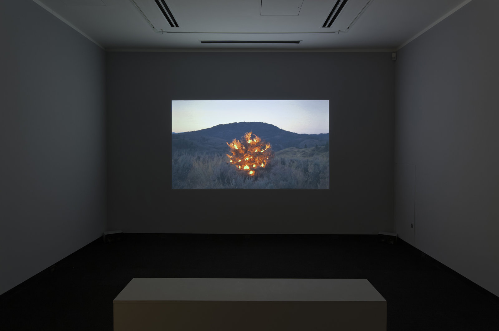 Kevin Schmidt, Burning Bush, 2005, HD video loop, 5 hours, 3 minutes. Installation view, Don't Stop Believing, Justina M. Barnicke Gallery, Toronto, 2011