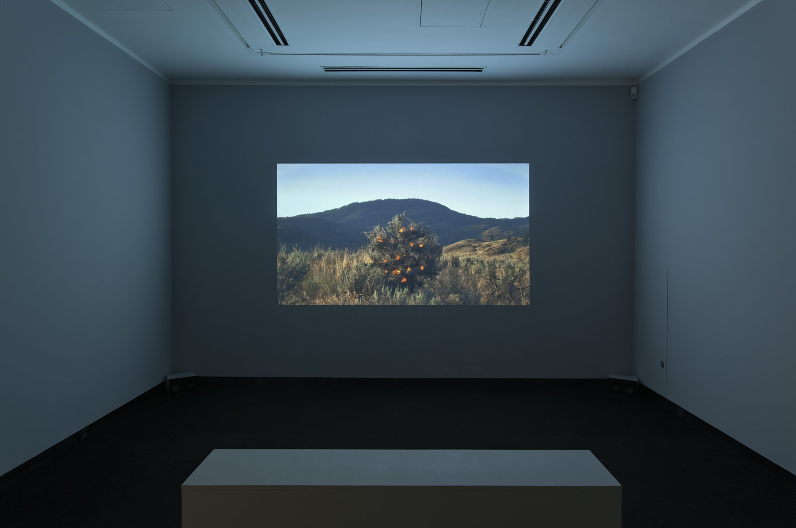 Kevin Schmidt, Burning Bush, 2005, HD video loop, 5 hours, 3 minutes. Installation view, Don't Stop Believing, Justina M. Barnicke Gallery, Toronto, 2011