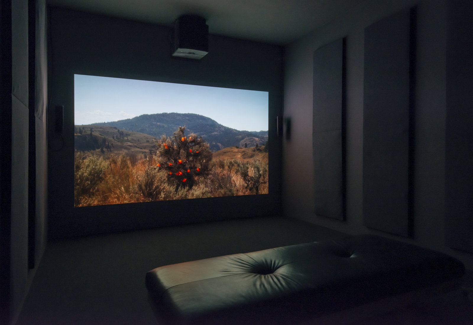 Kevin Schmidt, Burning Bush, 2005, HD video loop, 5 hours, 3 minutes. Installation view, The Commons, Kamloops Art Gallery, Kamloops, Canada, 2015