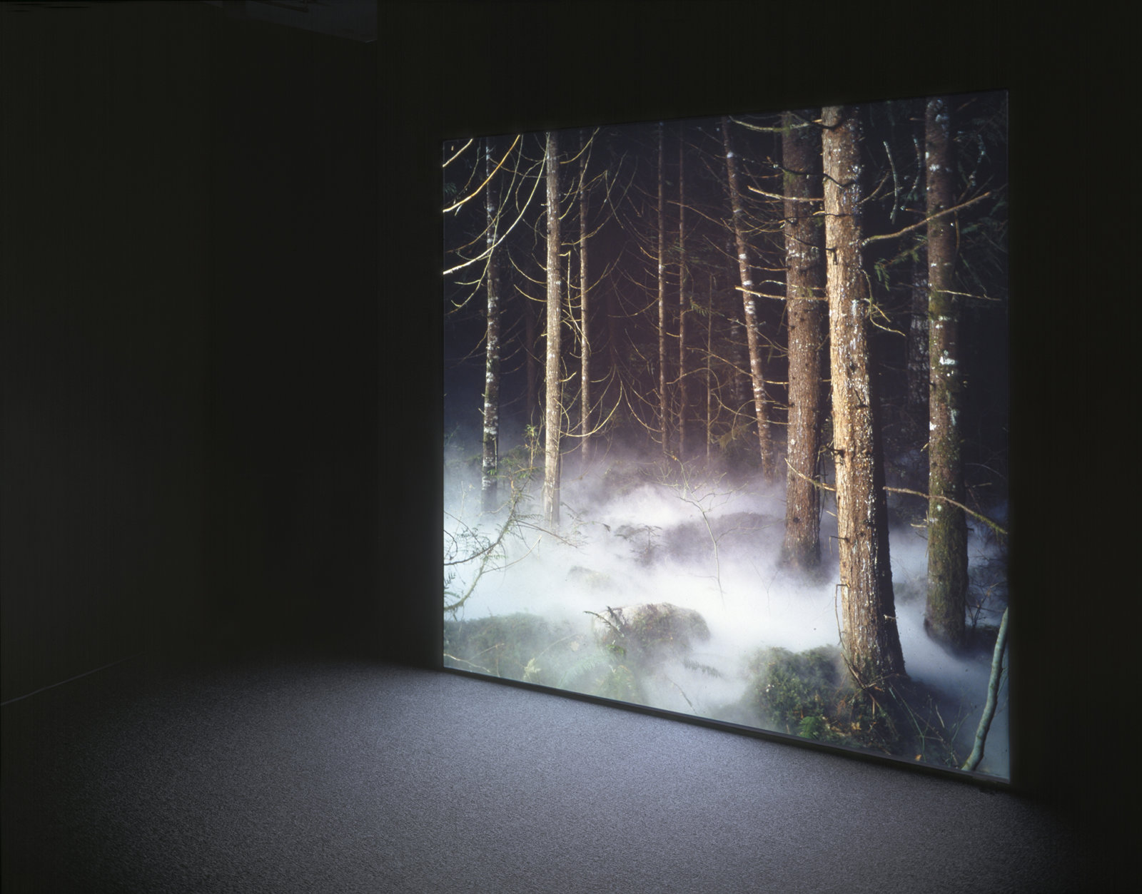 Kevin Schmidt, Fog, 2004, 2 medium-format slide projectors, 96 x 96 in. (244 x 244 cm)