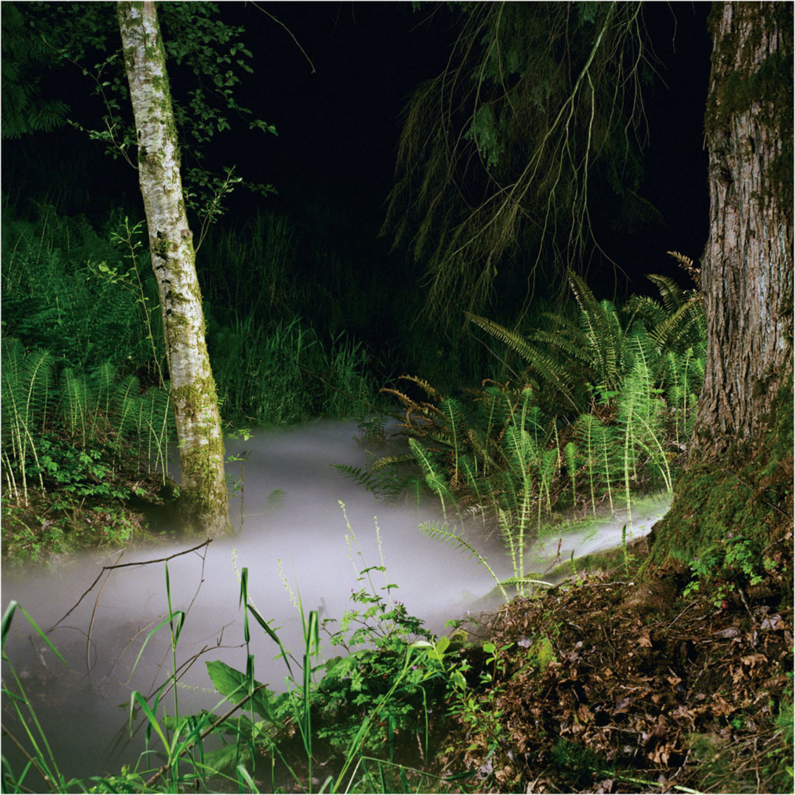 Kevin Schmidt, Fog Study 1, 2004, lightjet photo, 24 x 24 in. (61 x 61 cm)
