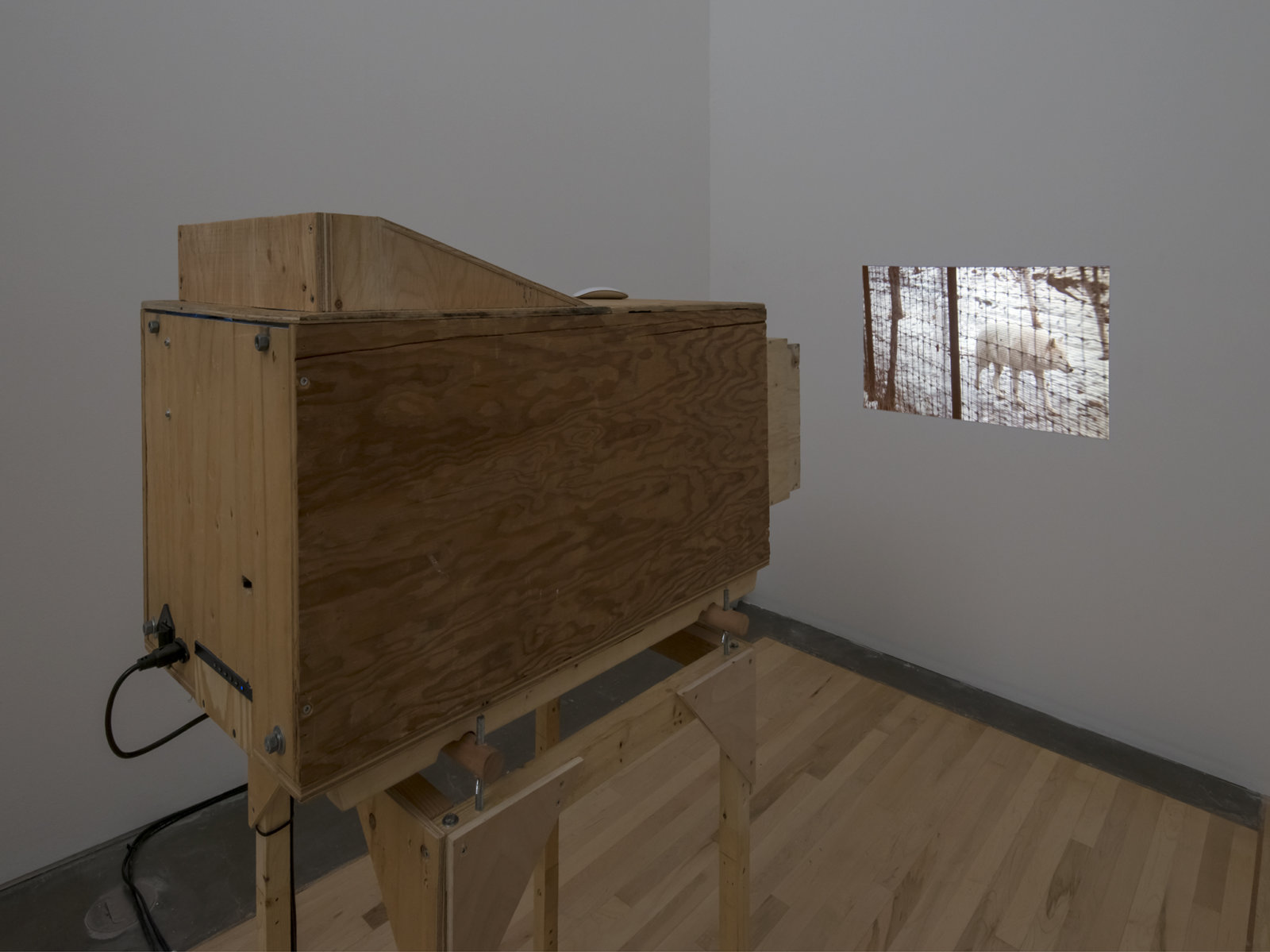 Kevin Schmidt, Sad Wolf, 2006, custom-made HD video projector, 48 x 24 x 48 in. (122 x 61 x 122 cm), HD video, 4 minutes, 11 seconds. Installation view, The Commons, Kamloops Art Gallery, Kamloops, Canada, 2015