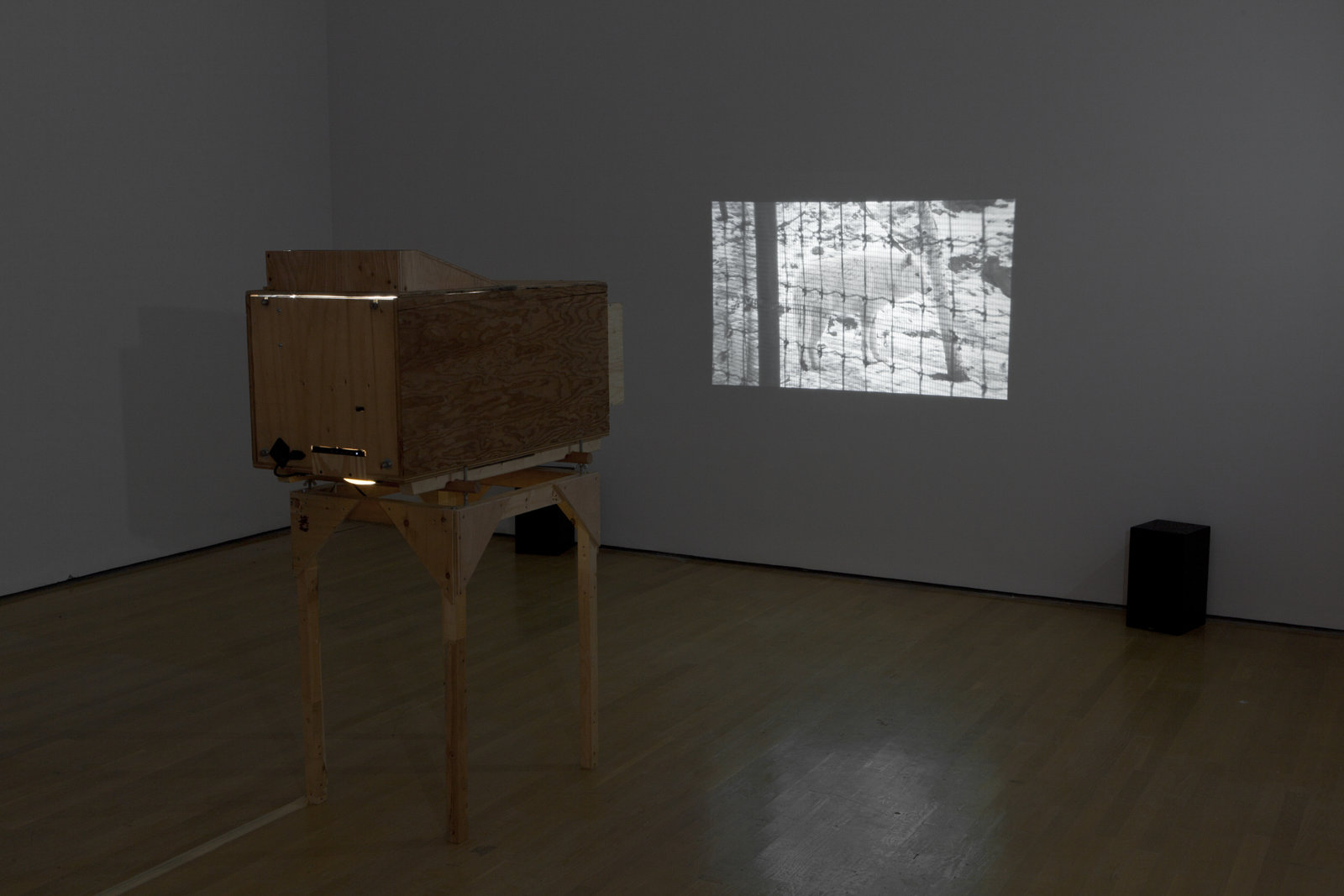 Kevin Schmidt, Sad Wolf (detail), 2006, custom-made HD video projector, 48 x 24 x 48 in. (122 x 61 x 122 cm), HD video, 4 minutes, 11 seconds. Installation view, Zoo,	Musée	d’art	contemporain de	Montréal, 2012