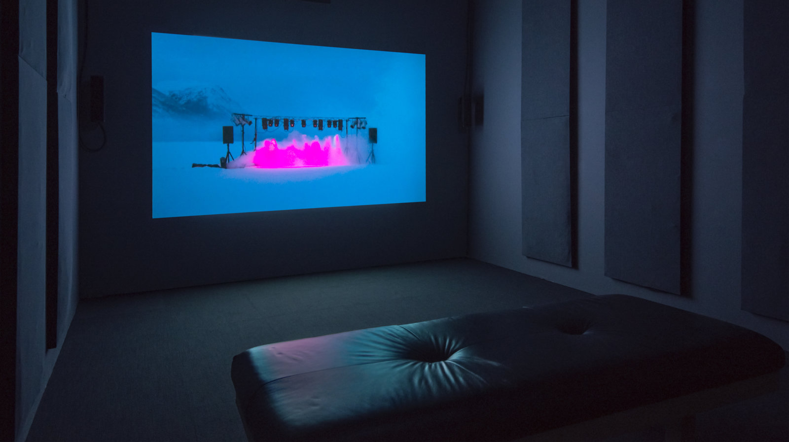 Kevin Schmidt, Wild Signals, 2007, HD video projection, 9 minutes, 42 seconds. Installation view, The Commons, Kamloops Art Gallery, Kamloops, Canada, 2015