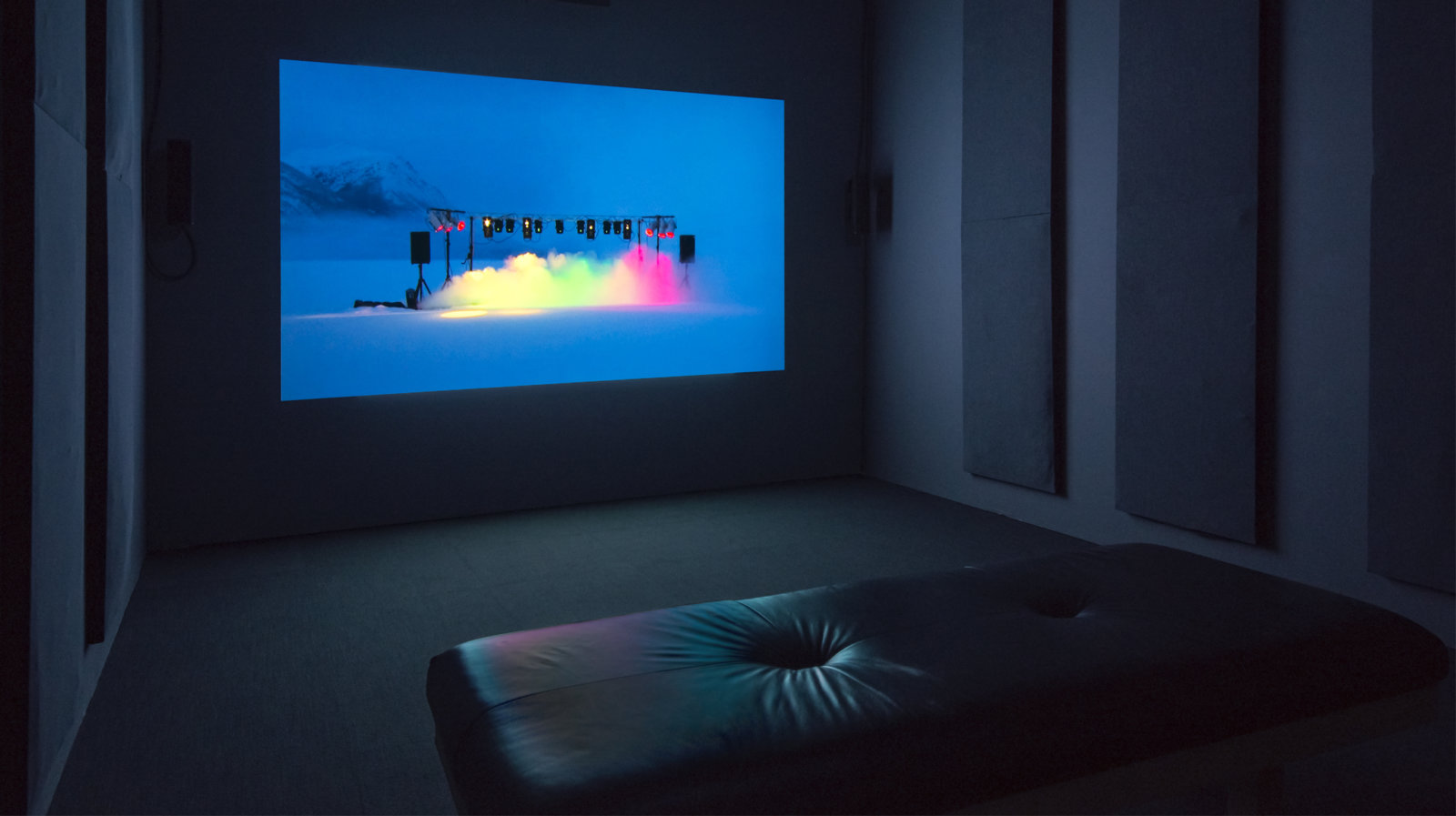 Kevin Schmidt, Wild Signals, 2007, HD video projection, 9 minutes, 42 seconds. Installation view, The Commons, Kamloops Art Gallery, Kamloops, Canada, 2015