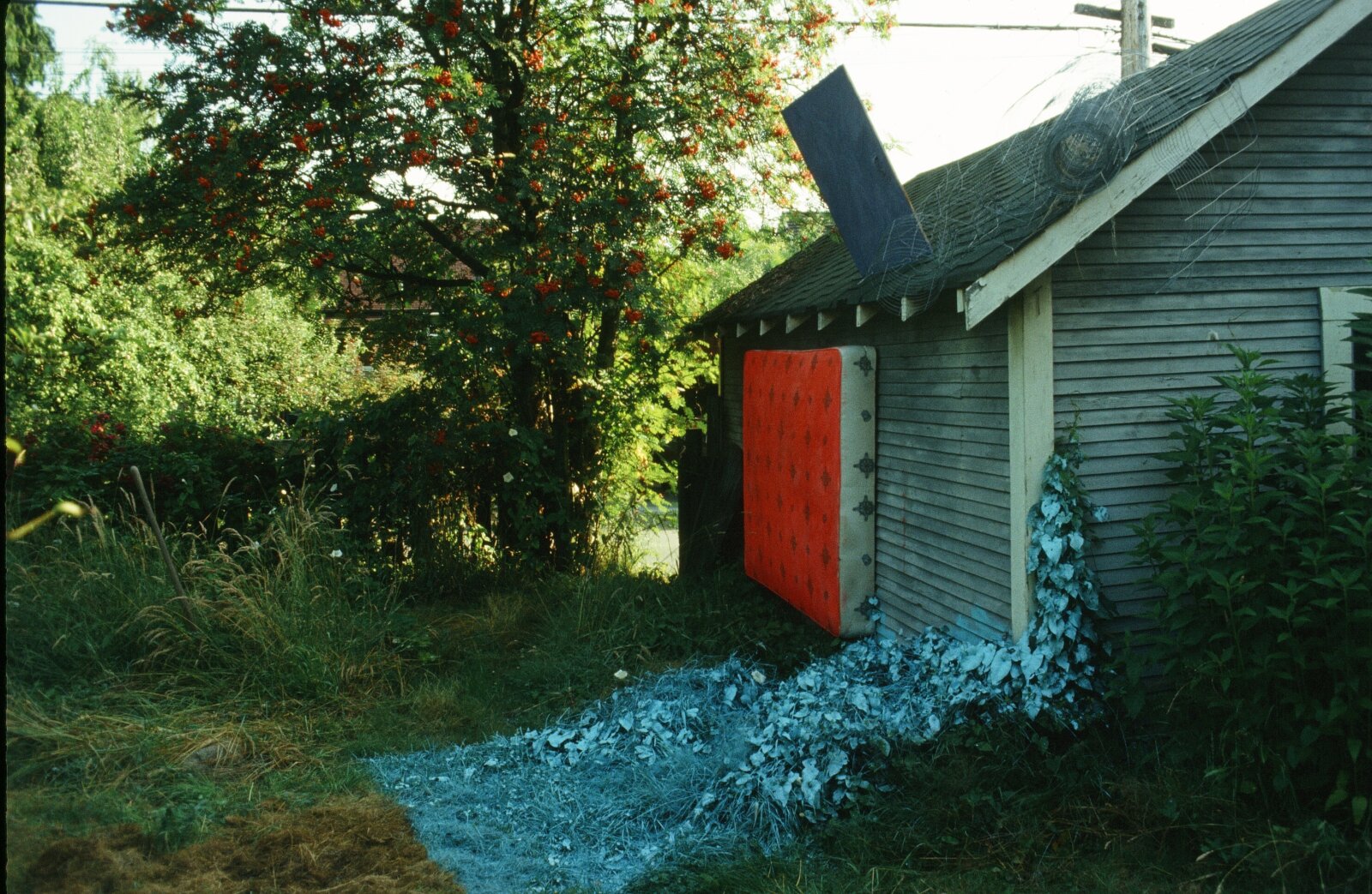 Jessica Stockholder, My Father’s Backyard, 1983, mattress, chicken wire, cupboard door, paint on grass, dimensions variable