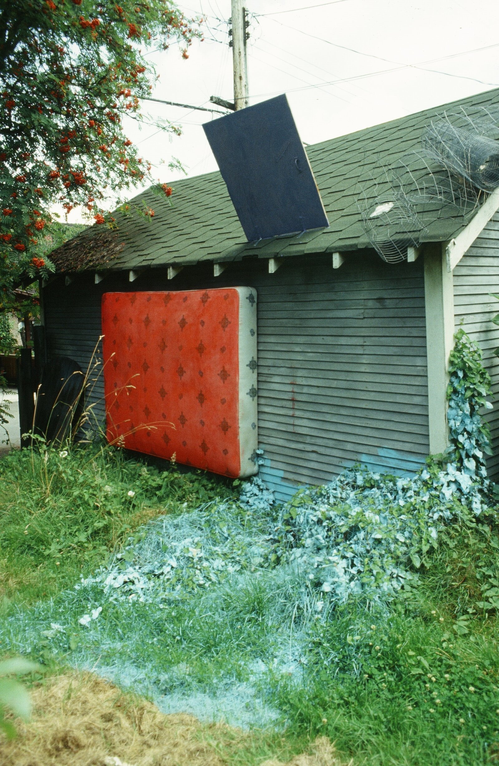 Jessica Stockholder, My Father’s Backyard, 1983, mattress, chicken wire, cupboard door, paint on grass, dimensions variable