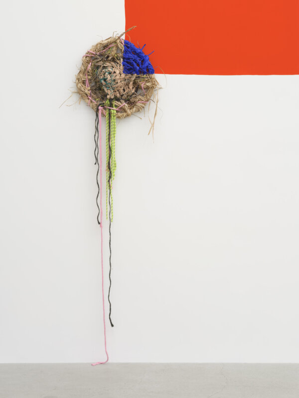 Jessica Stockholder, unity with custody (detail), 2025, basket materials, resin, acrylic paint, rope, painted shape, dimensions variable