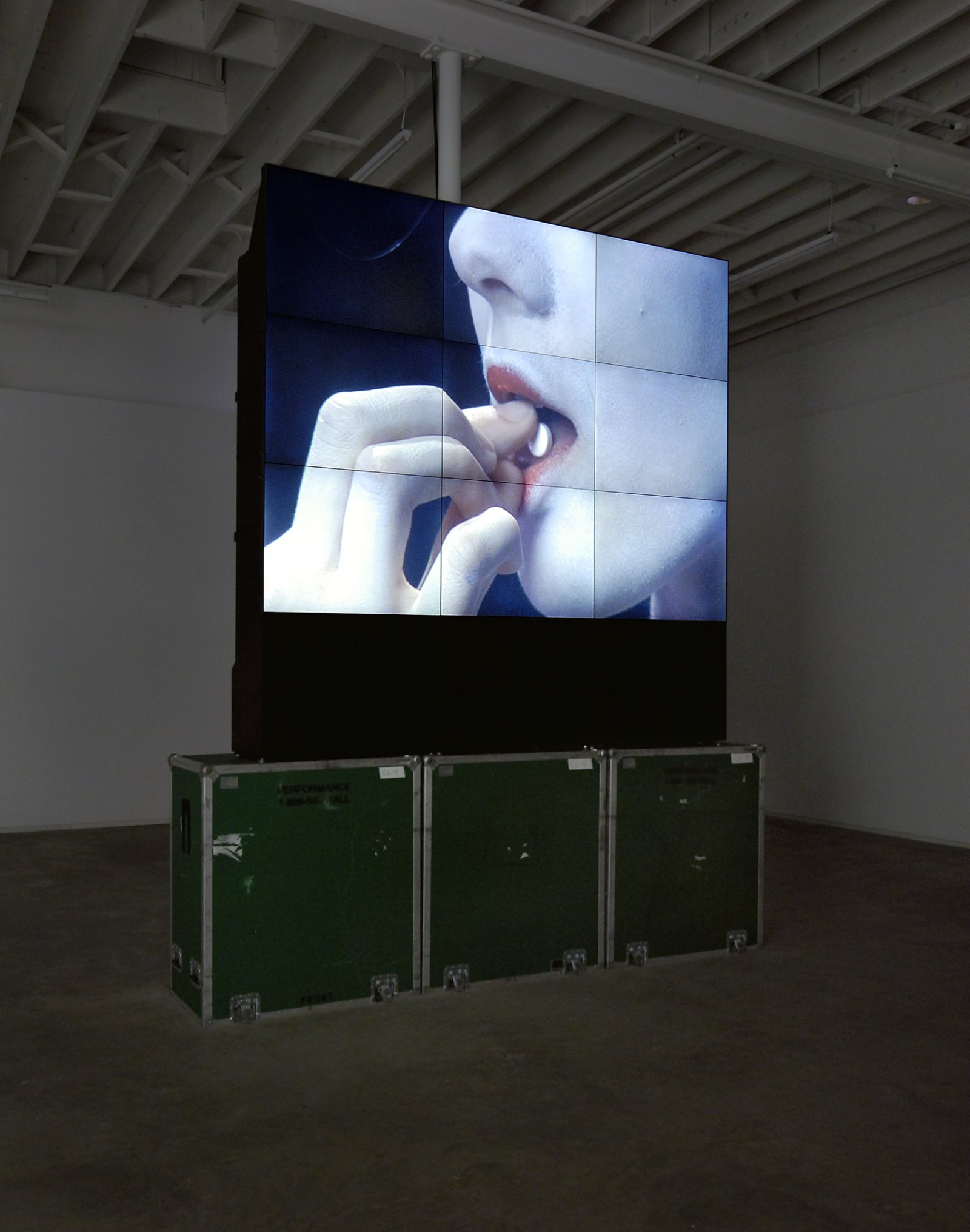 Ron Terada, Voight Kampff, 2008, single channel blu-ray DVD: 2 minutes, edition of 4, dimensions variable by Ron Terada