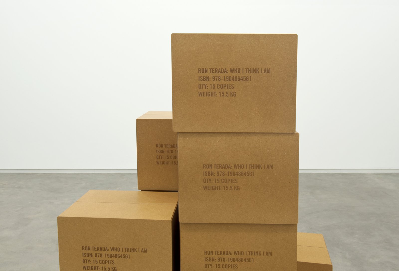 Ron Terada, Who I Think I Am, 2011, 15 MDF boxes, varnish, each 10 x 13 x 11 in. (26 x 33 x 27 cm) by Ron Terada