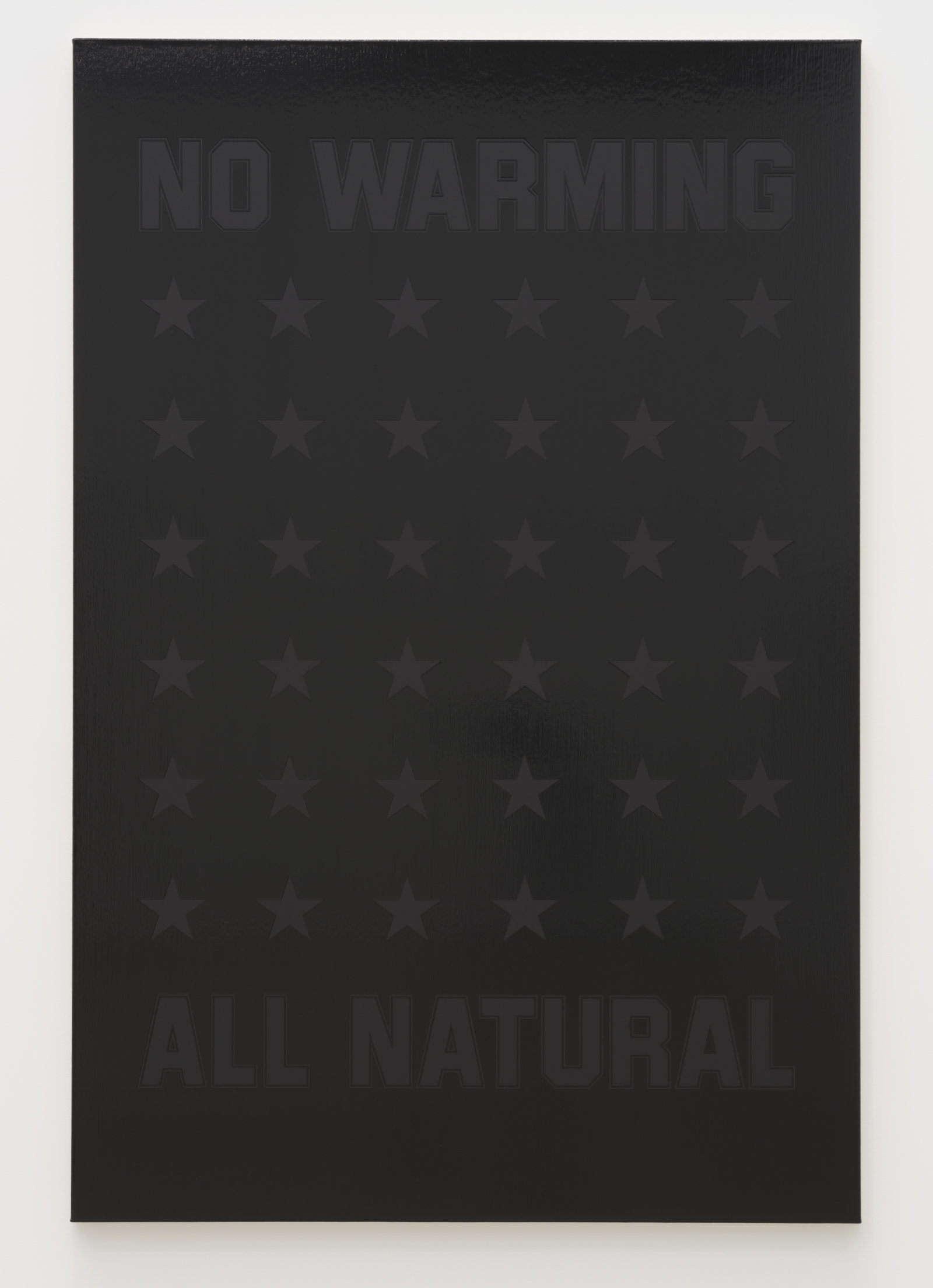Ron Terada, No Warming All Natural, 2023, acrylic on canvas, 66 x 44 in. (168 x 112 cm)