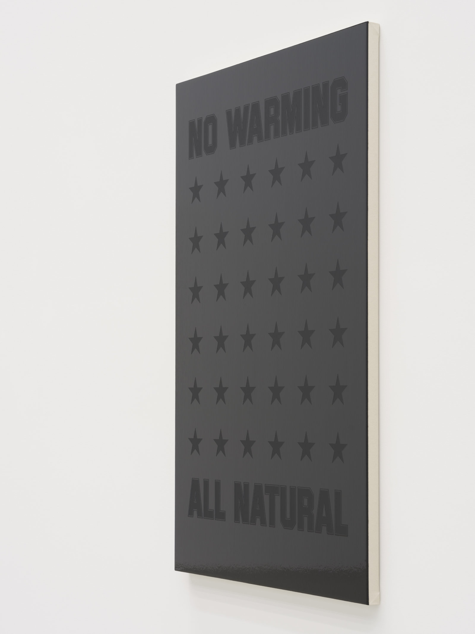 Ron Terada, No Warming All Natural, 2023, acrylic on canvas, 66 x 44 in. (168 x 112 cm)