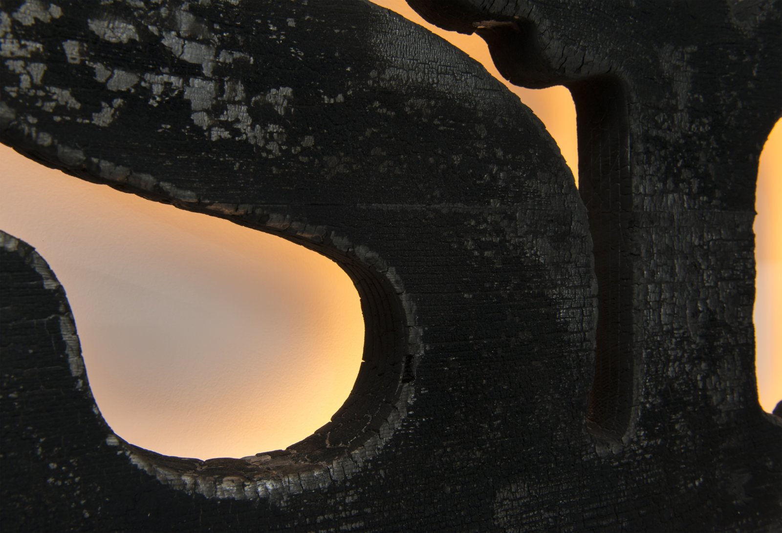 Ron Terada, Snug Cove (detail), 2018, charred cedar, led, electronics, 30 x 48 in. (76 x 121 cm)