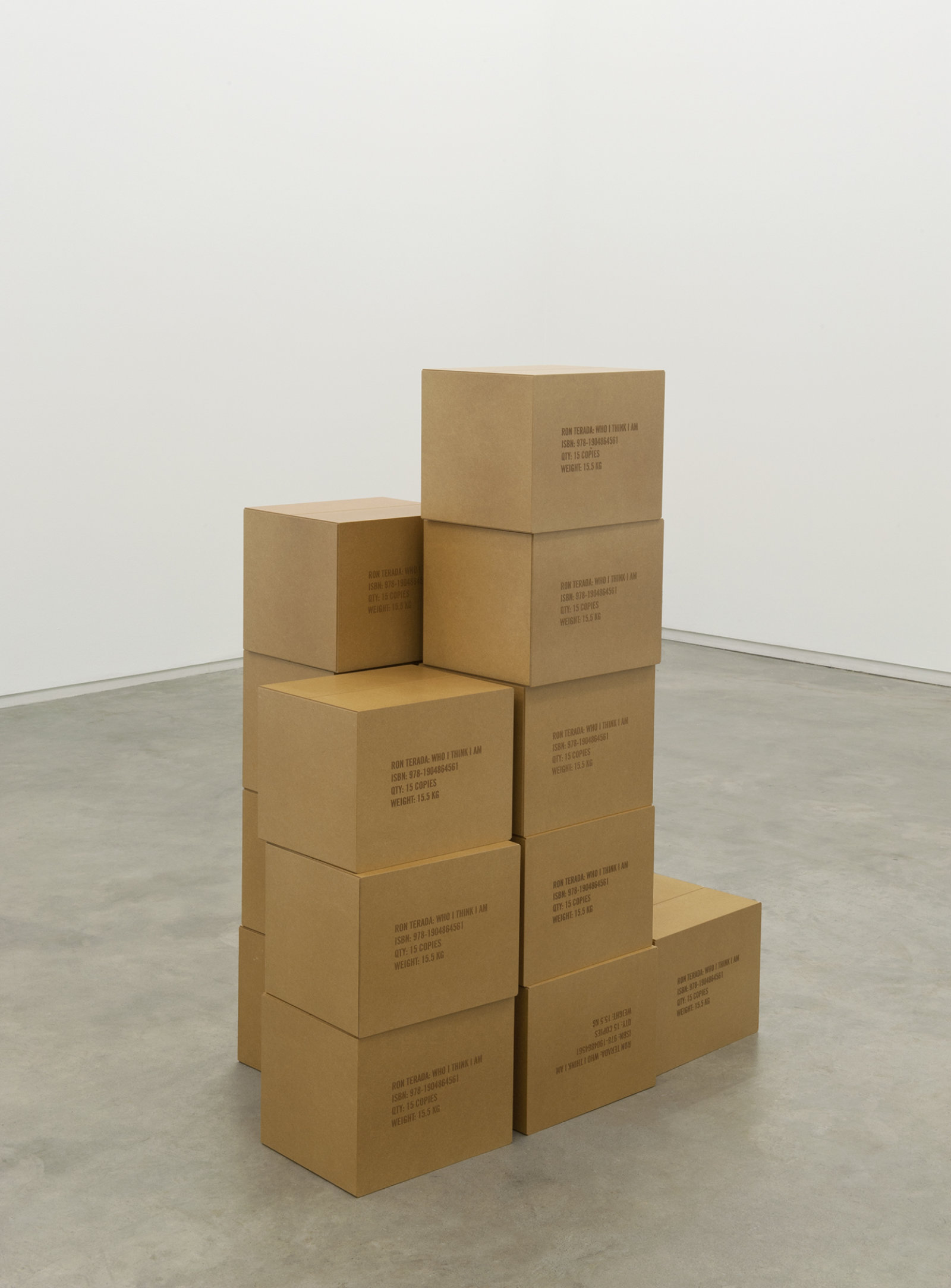 Ron Terada, Who I Think I Am, 2011, 15 MDF boxes, varnish, each 10 x 13 x 11 in. (26 x 33 x 27 cm)